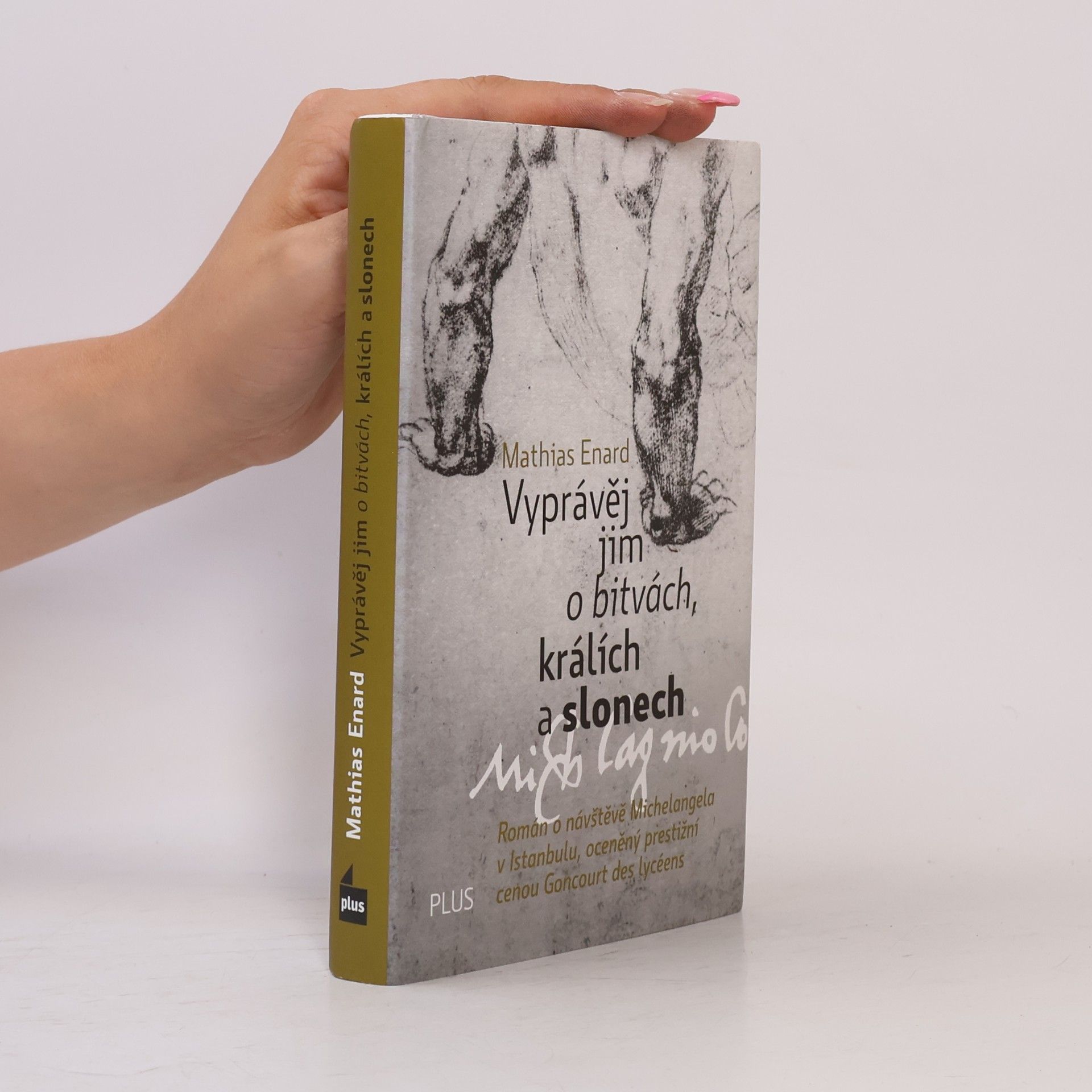 Mathias Énard Vyprávěj jim o bitvách, králích a slonech