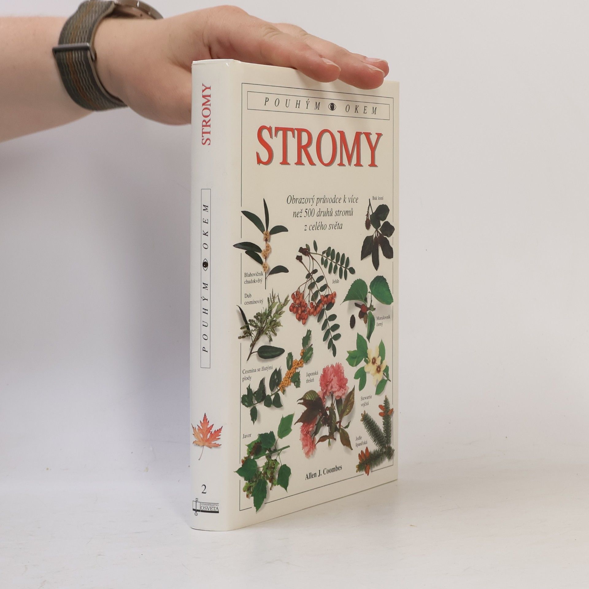 Allen J. Coombes Stromy
