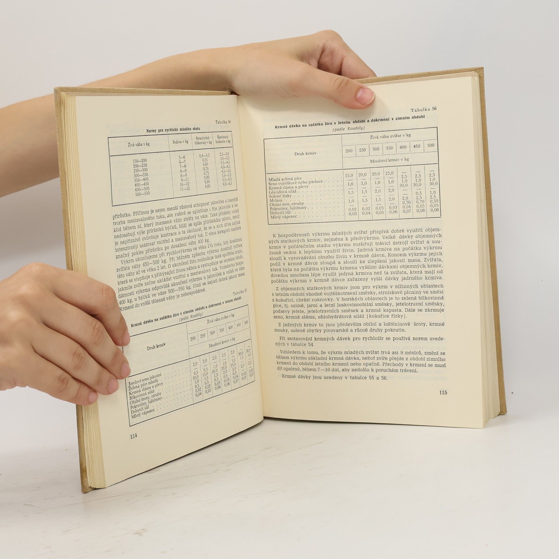 Autorenkollektiv Speciální chov hospodářských zvířat - velká zvířata