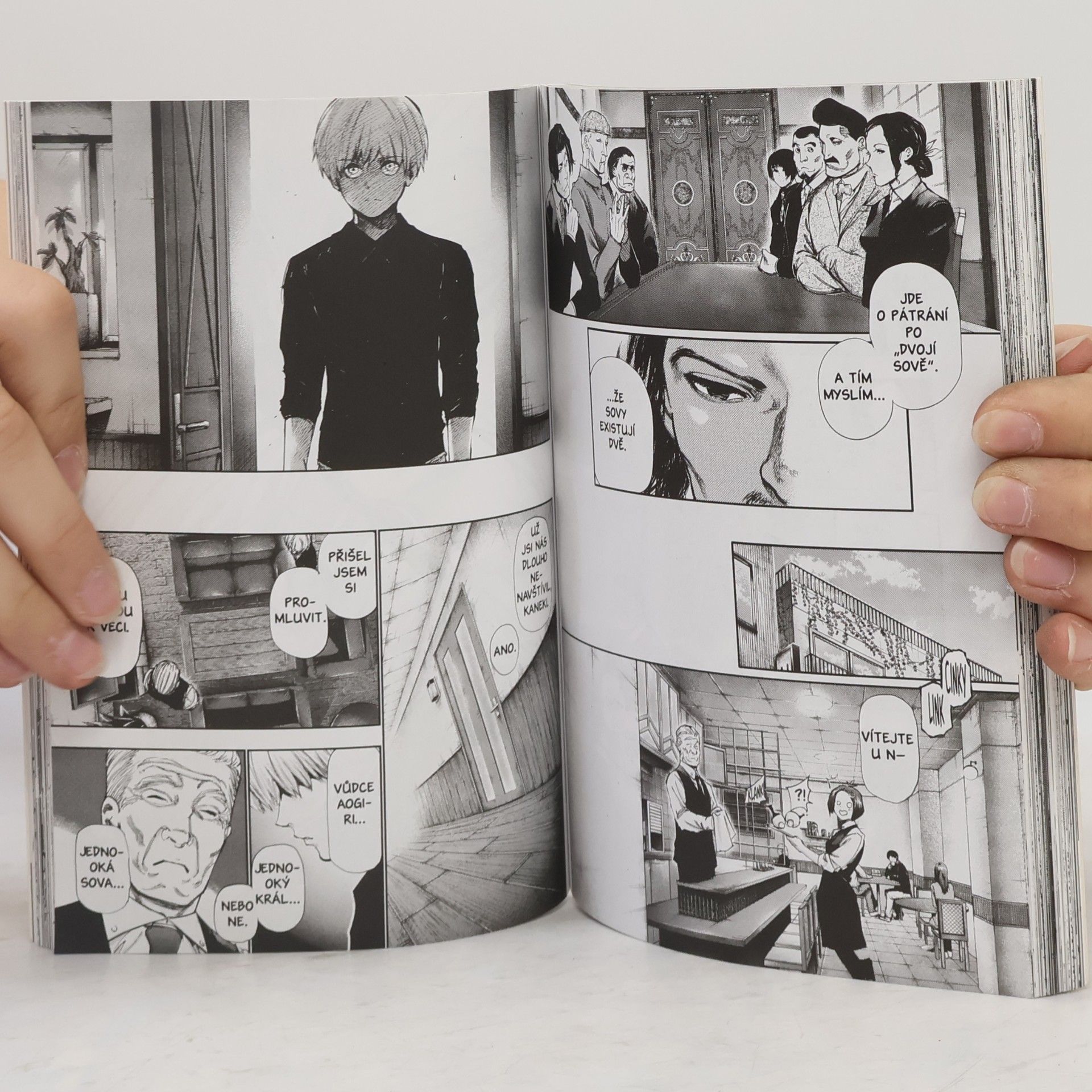 Sui Ishida Tokijský ghúl 12
