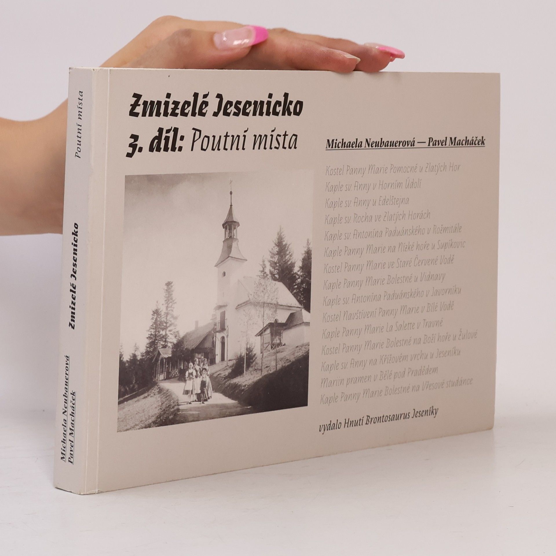 Michaela Neubauerová Zmizelé Jesenicko. 3. díl, Poutní místa.