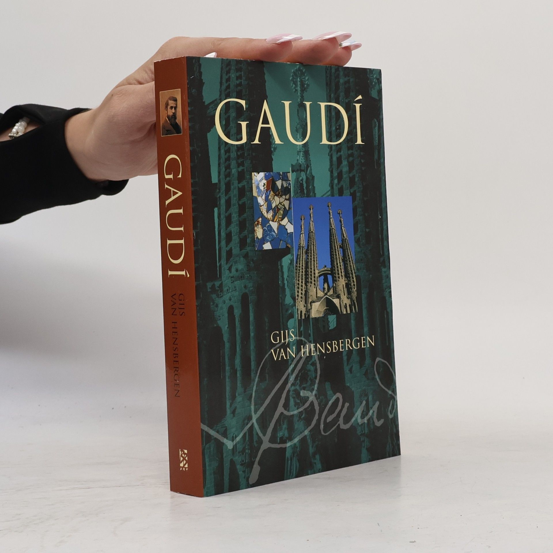 Gijs van Hensbergen Gaudí
