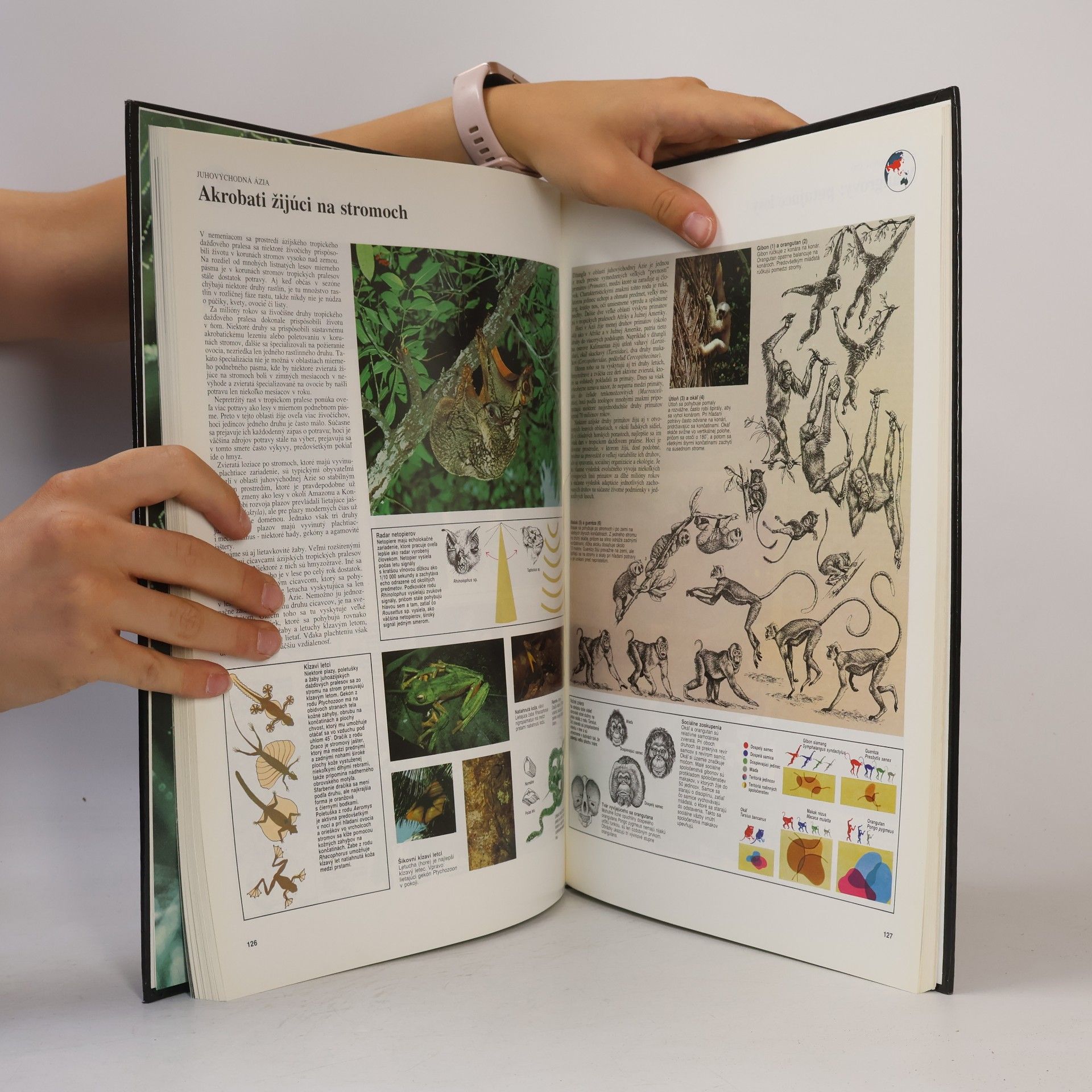Collectif d'auteurs Veľký atlas živočíchov