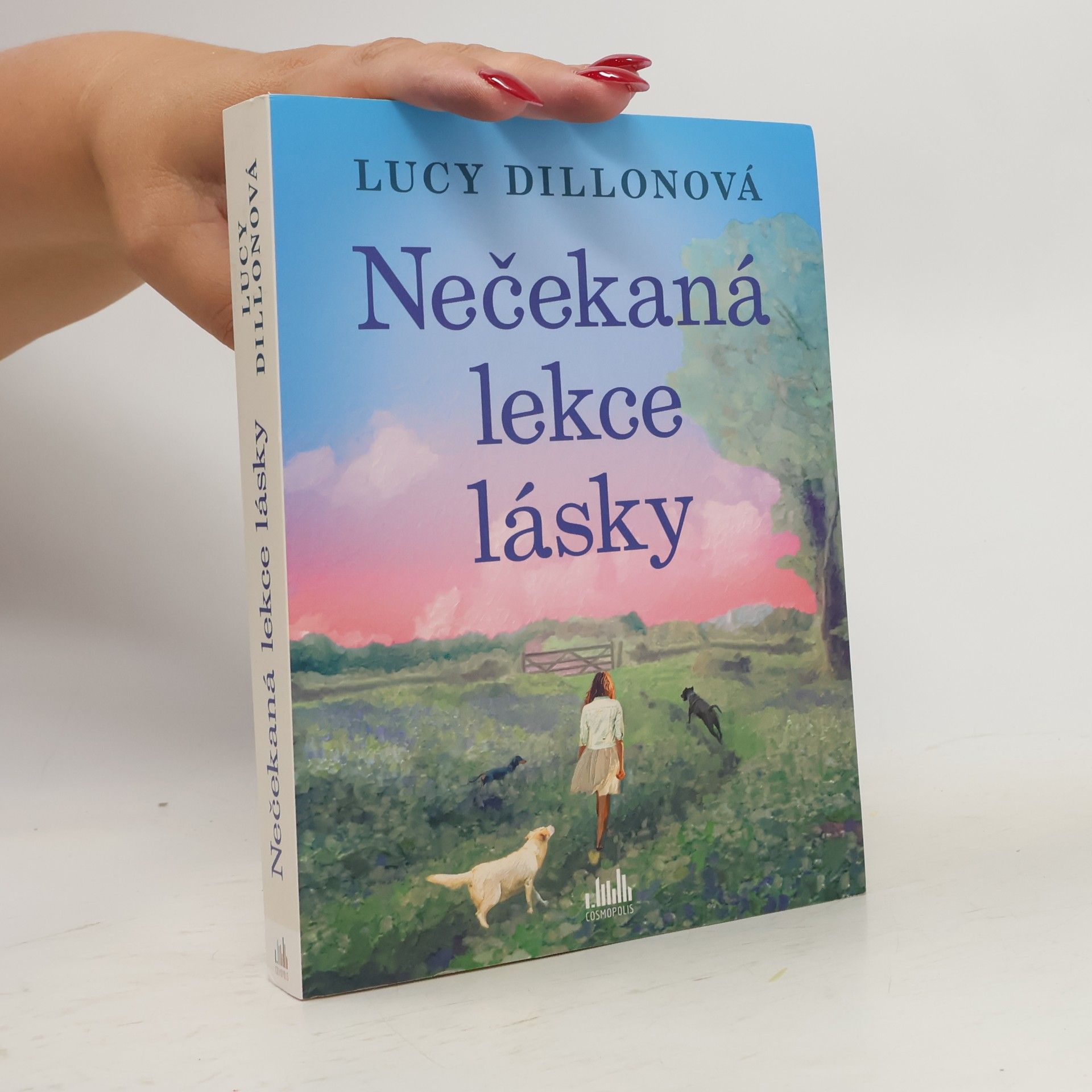 Lucy Dillon Nečekaná lekce lásky