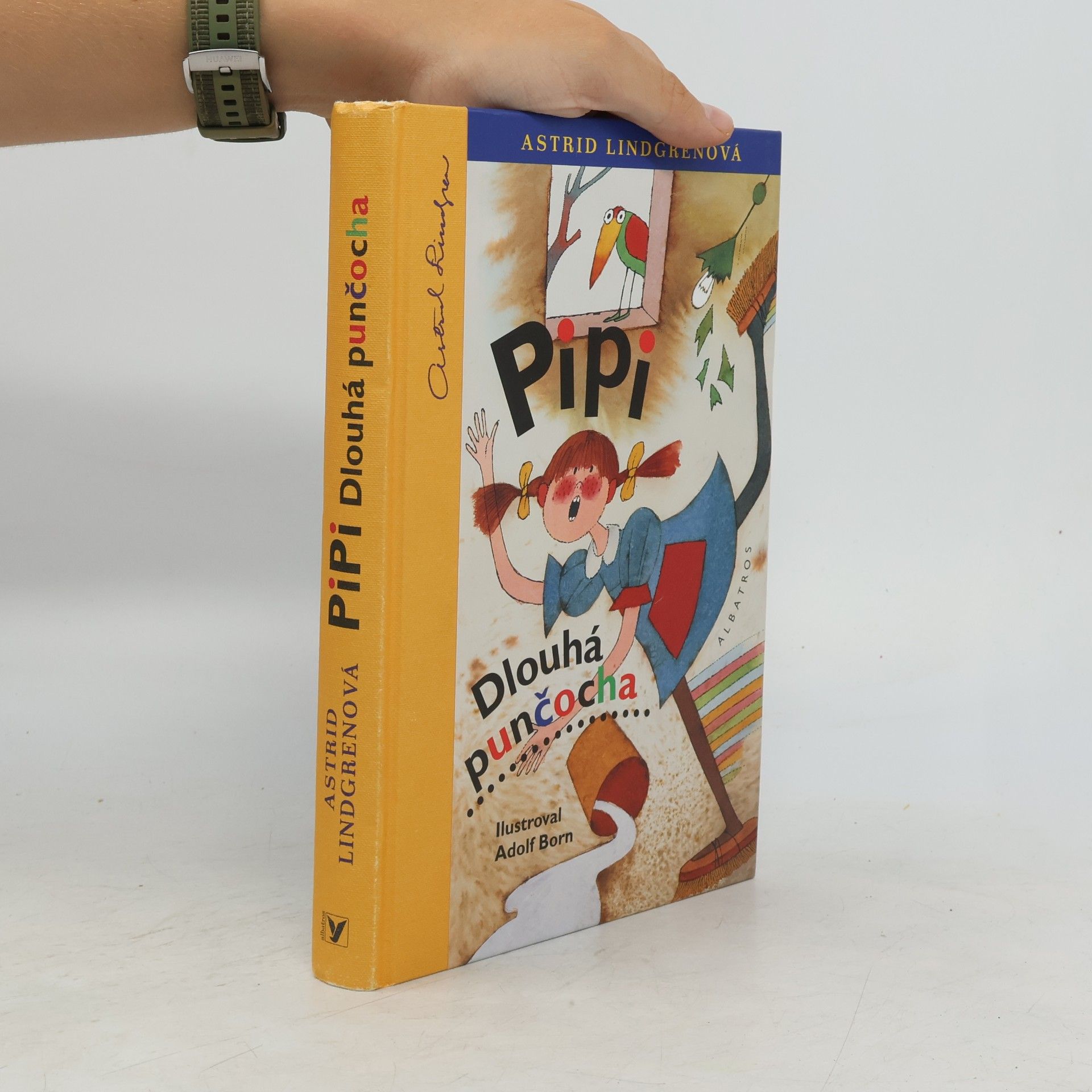 Astrid Lindgren Pipi Dlouhá punčocha