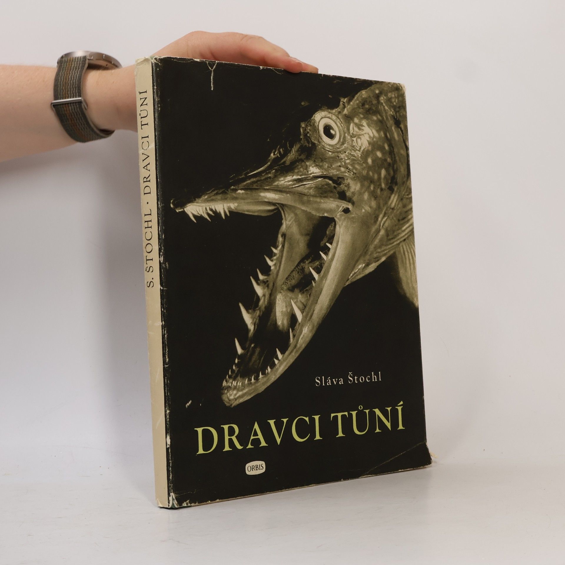 Sláva Štochl Dravci tůní