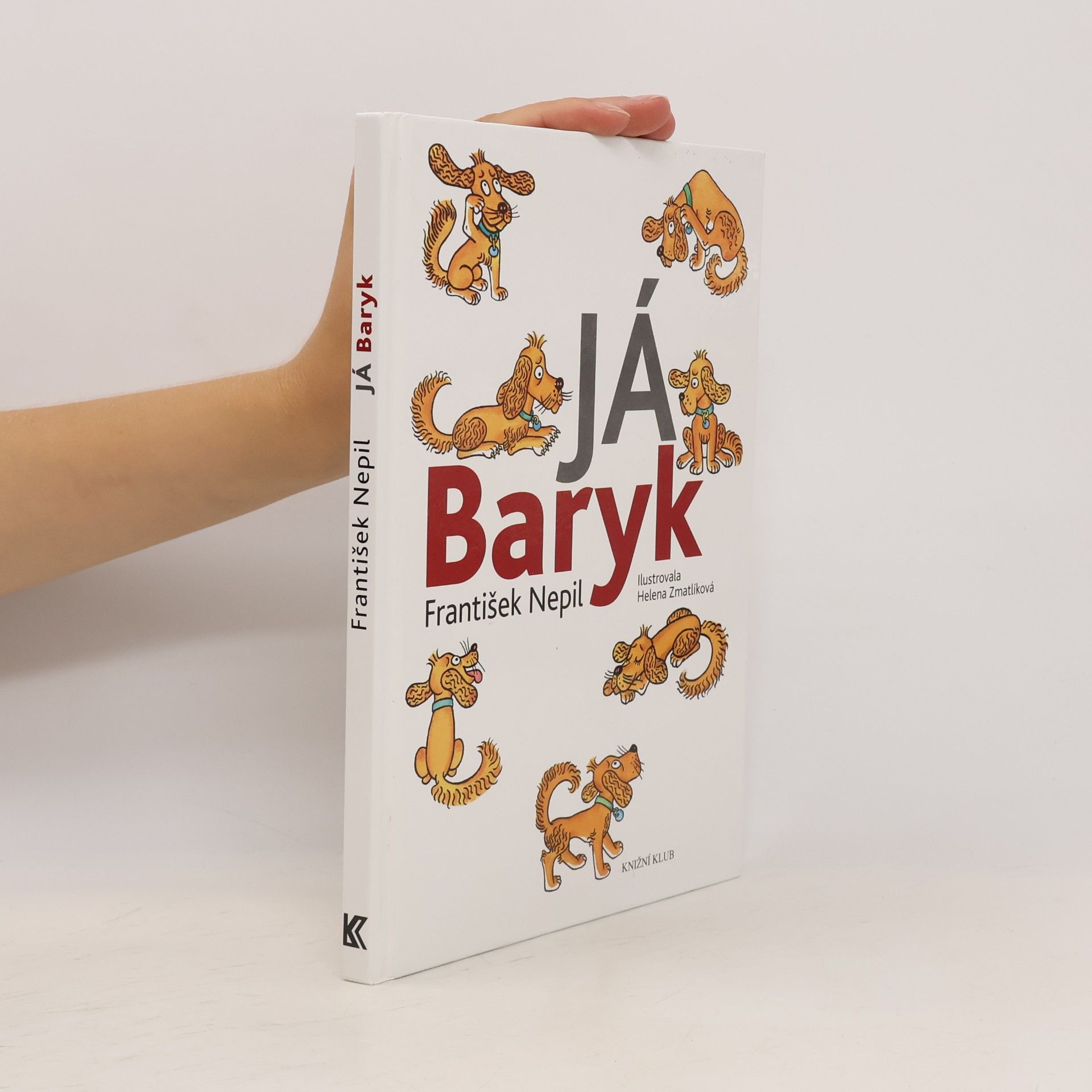 František Nepil Já, Baryk