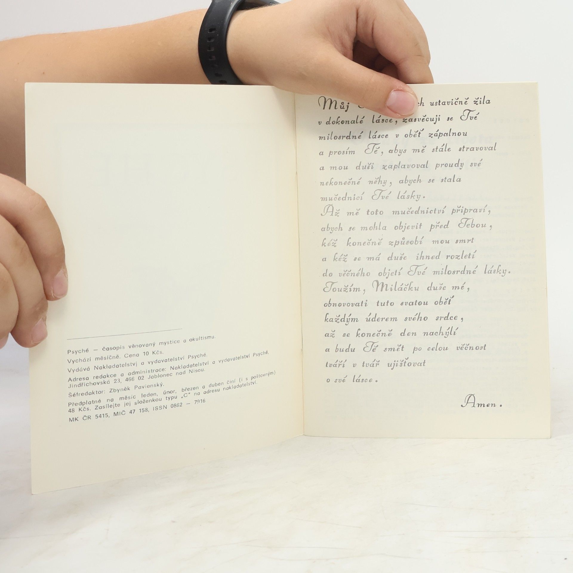 Autores varios Psyché. Časopis věnovaný mystice a okultismu 2/91