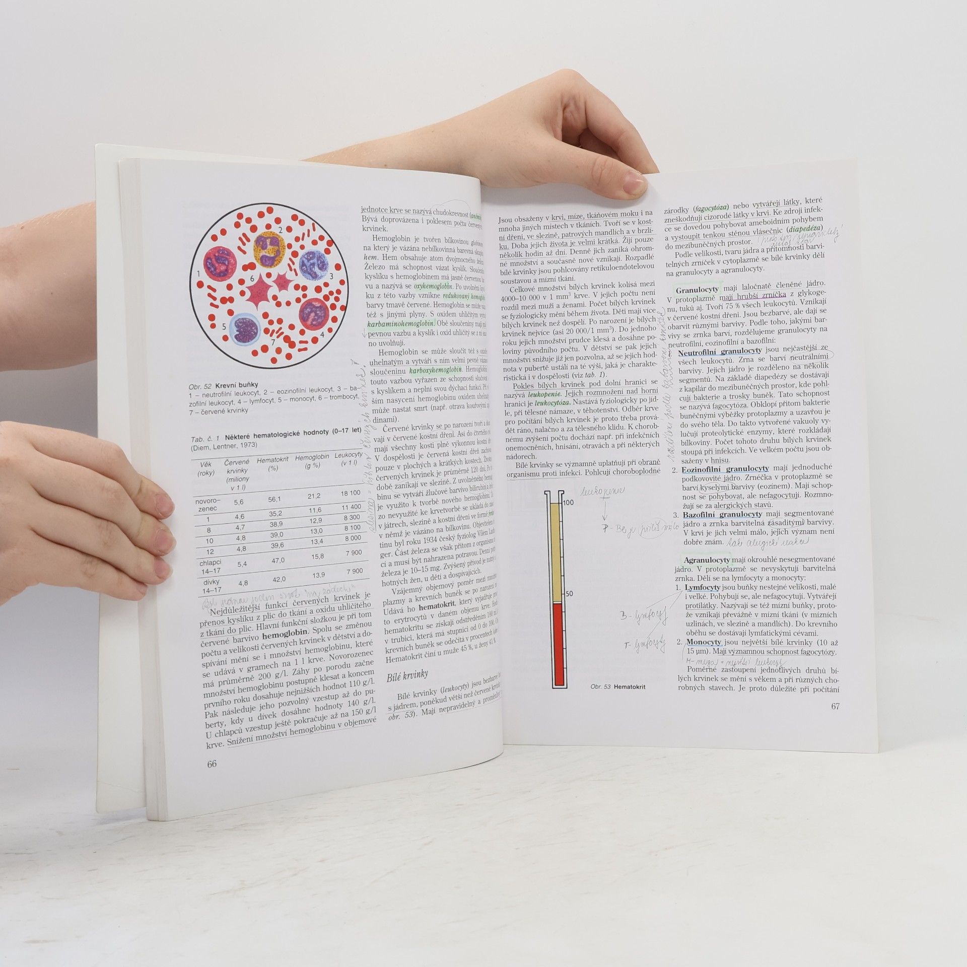 Jitka Machová Biologie člověka pro učitele