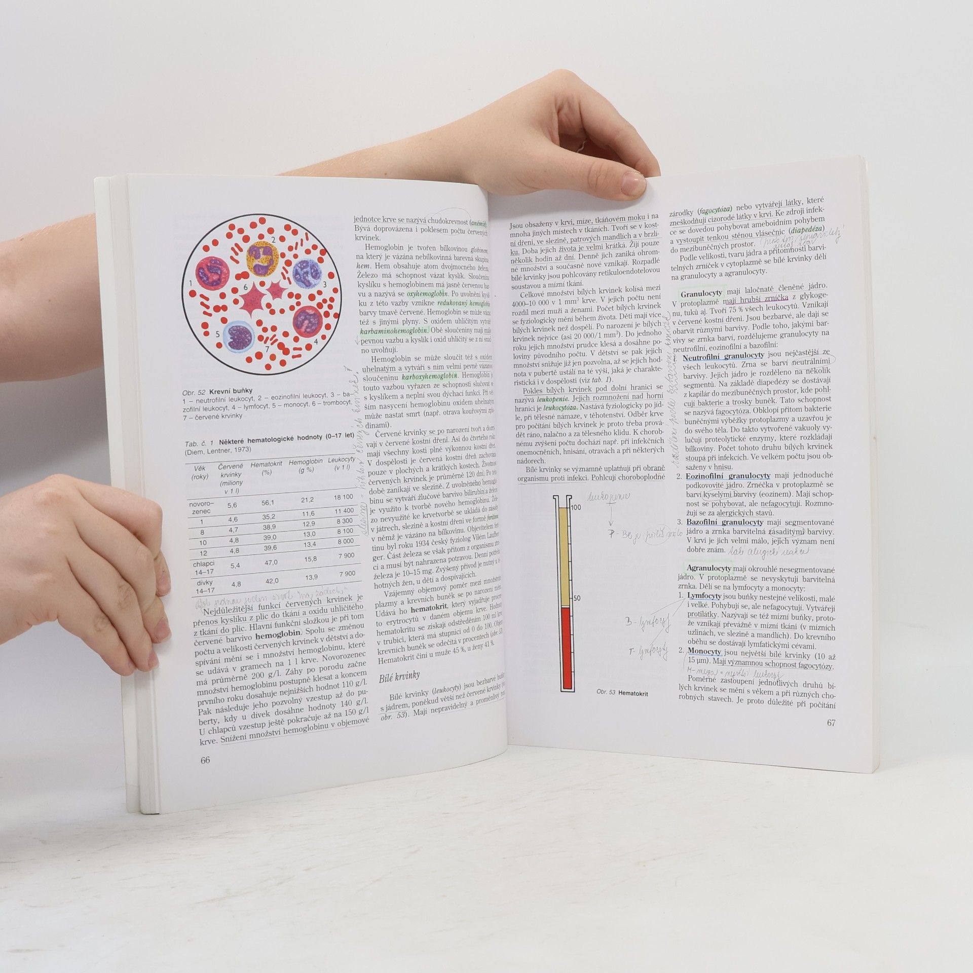 Jitka Machová Biologie člověka pro učitele