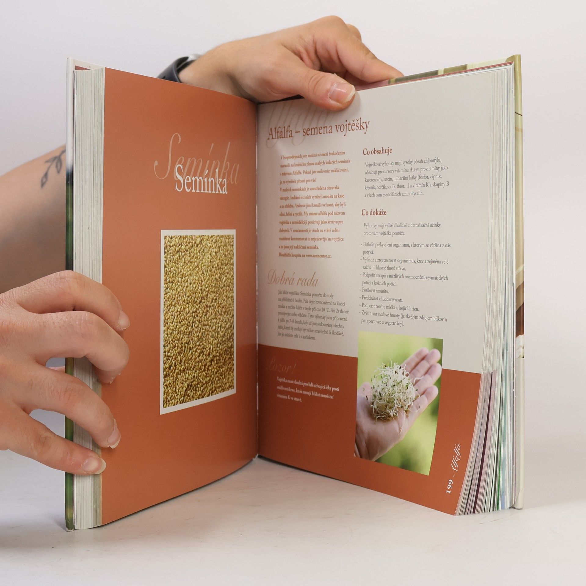 Hana Zemanová BioAbecedář Hanky Zemanové