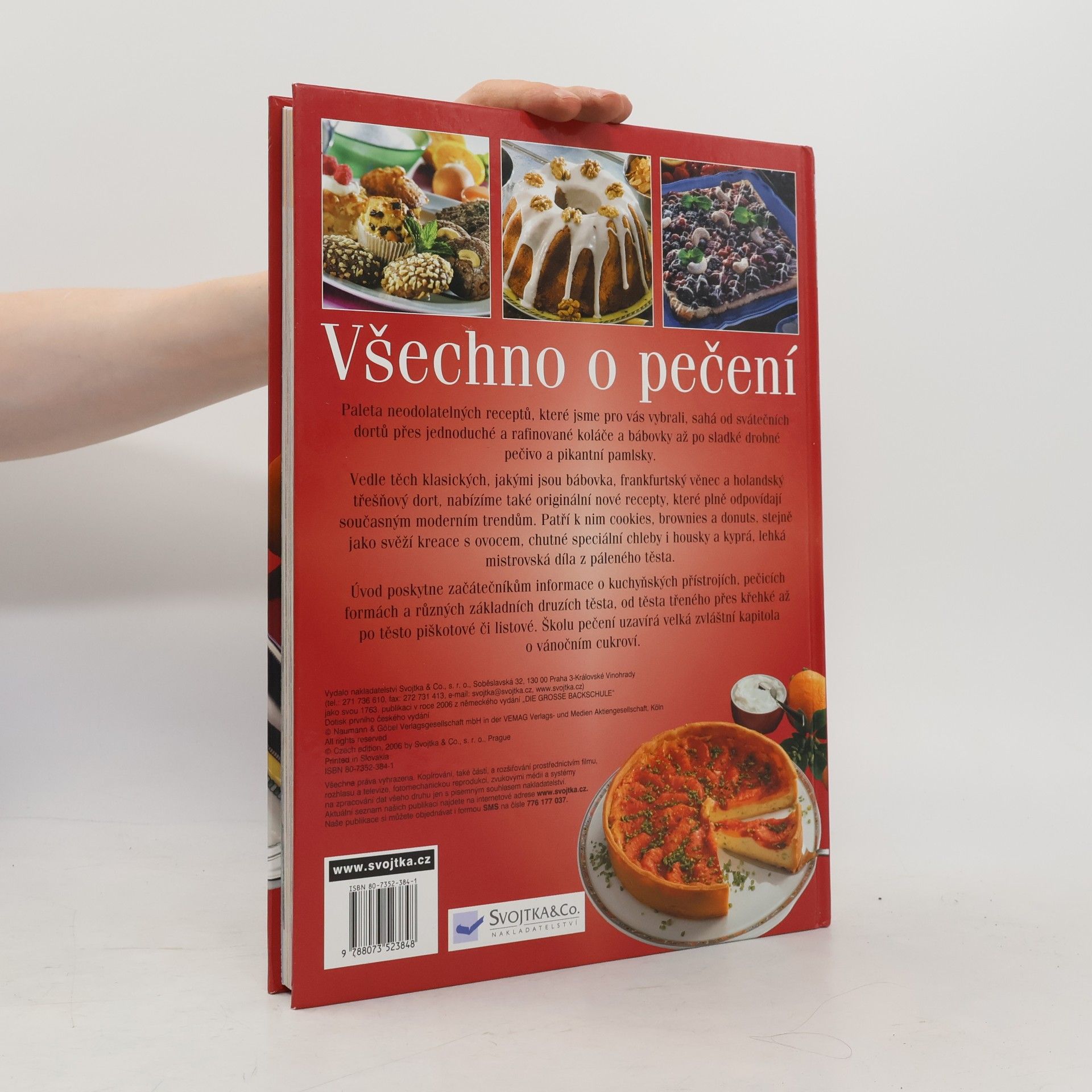 Autorenkollektiv Všechno o pečení