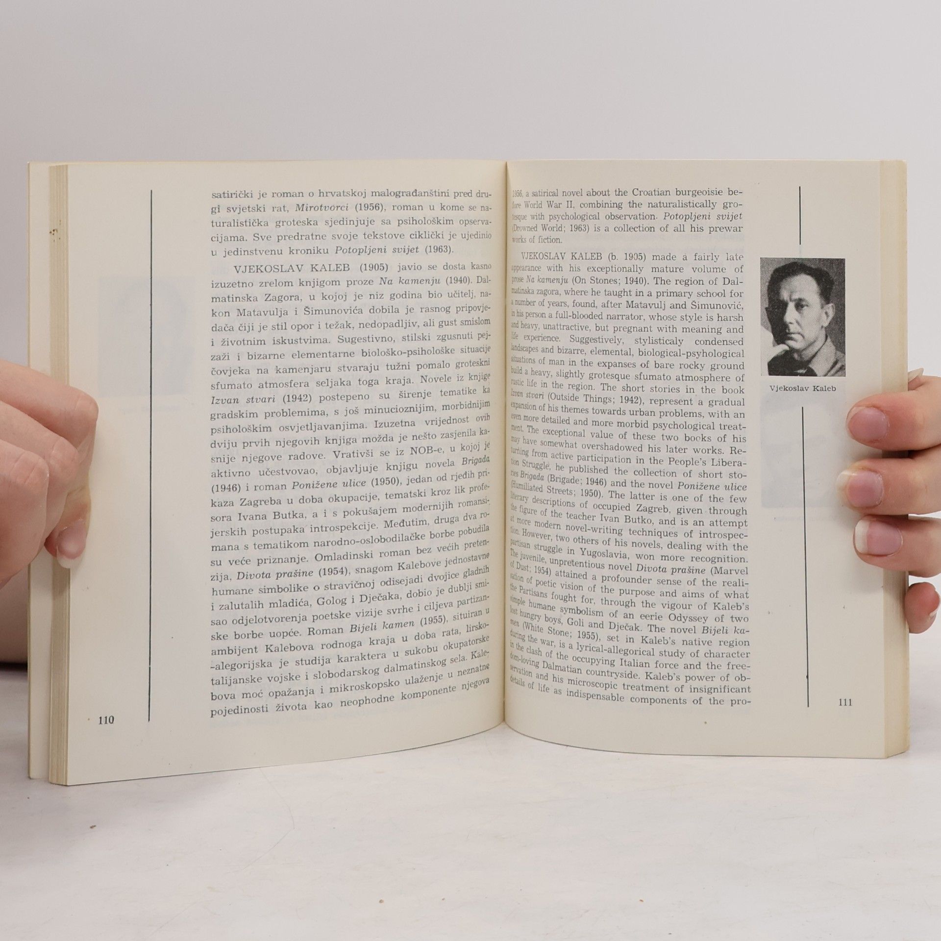 Miroslav Vaupotić Hrvatska suvremena književnost. Contemporary Croatian Literature