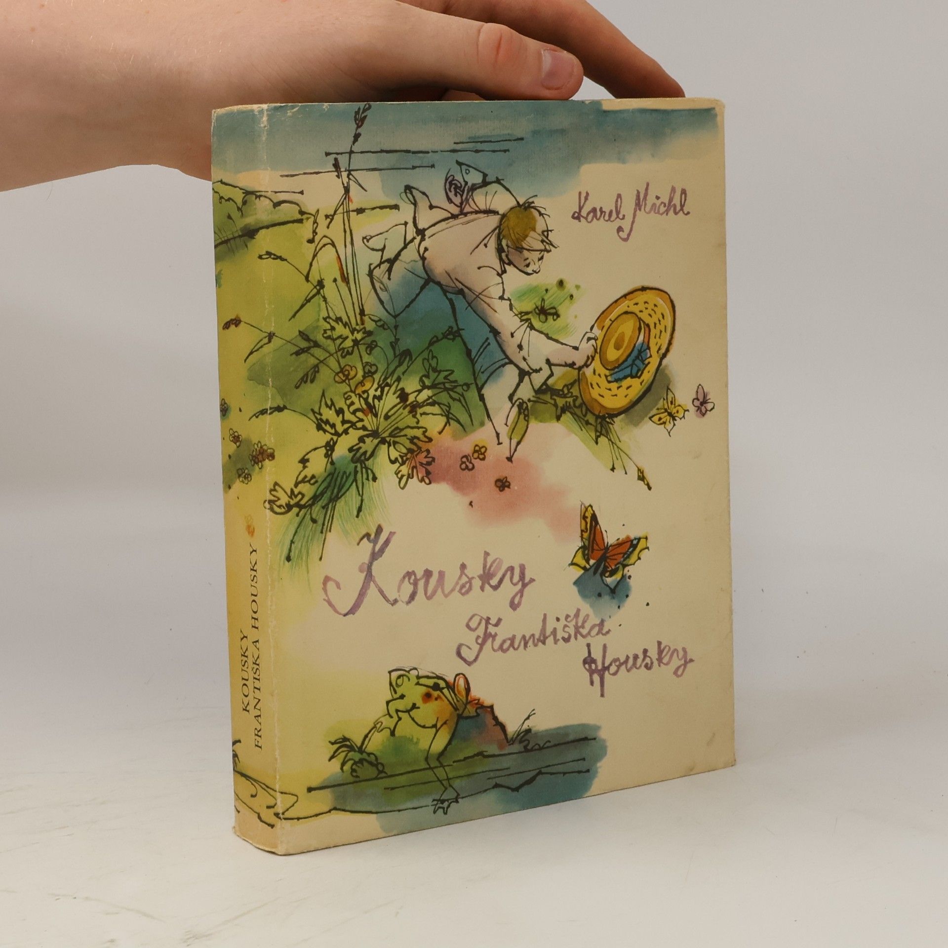 Karel Michl Kousky Františka Housky