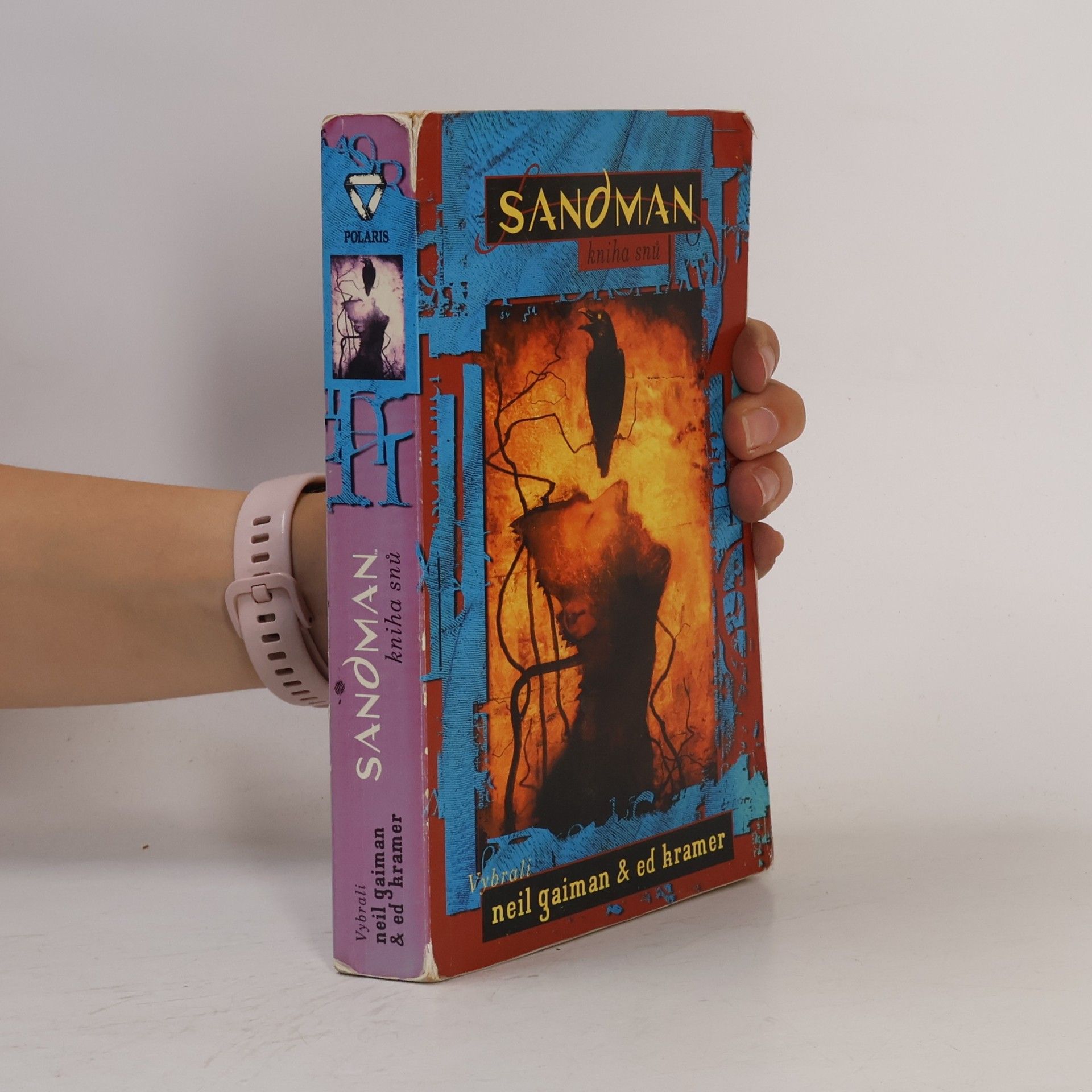 Neil Gaiman Sandman. Kniha snů