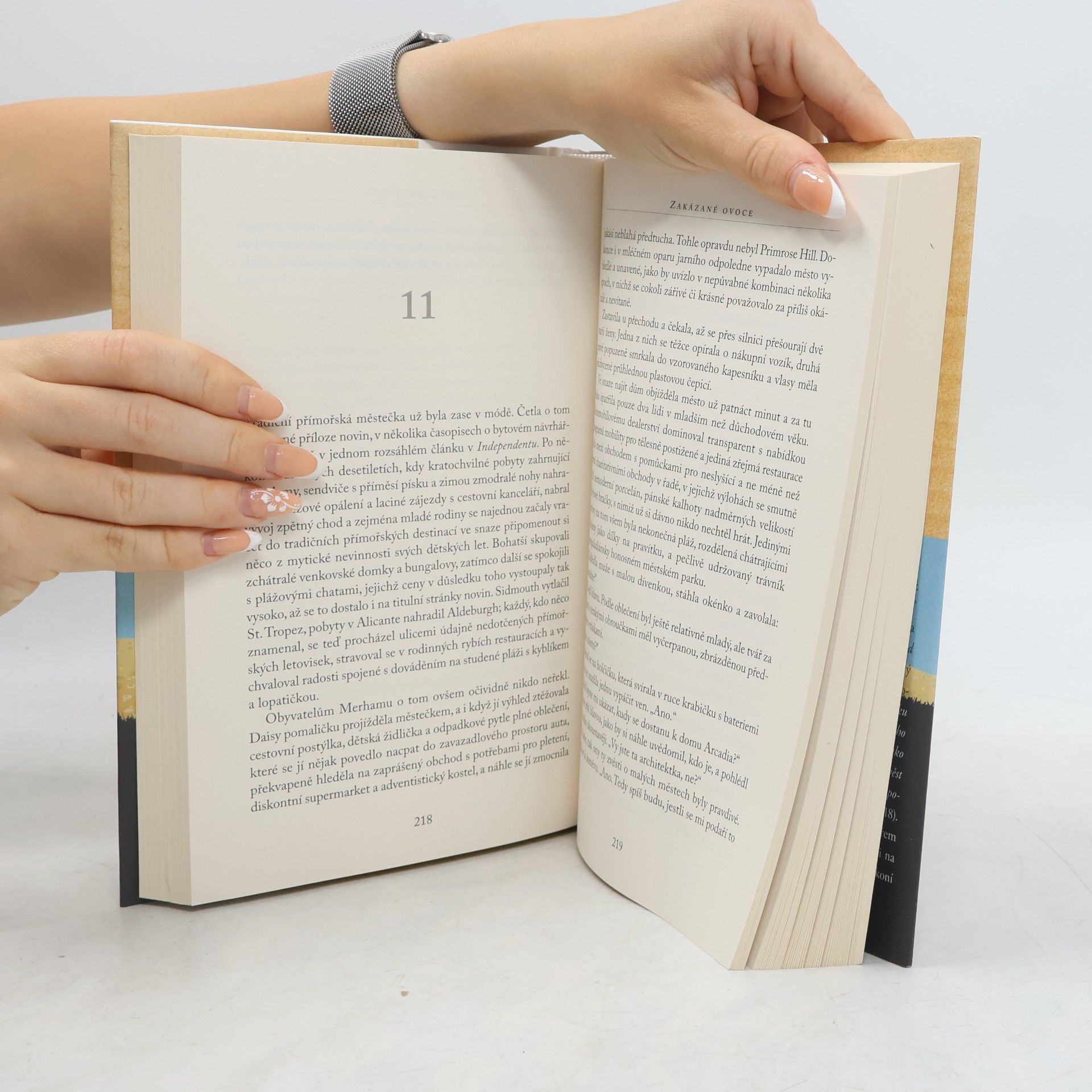 Jojo Moyes Zakázané ovoce