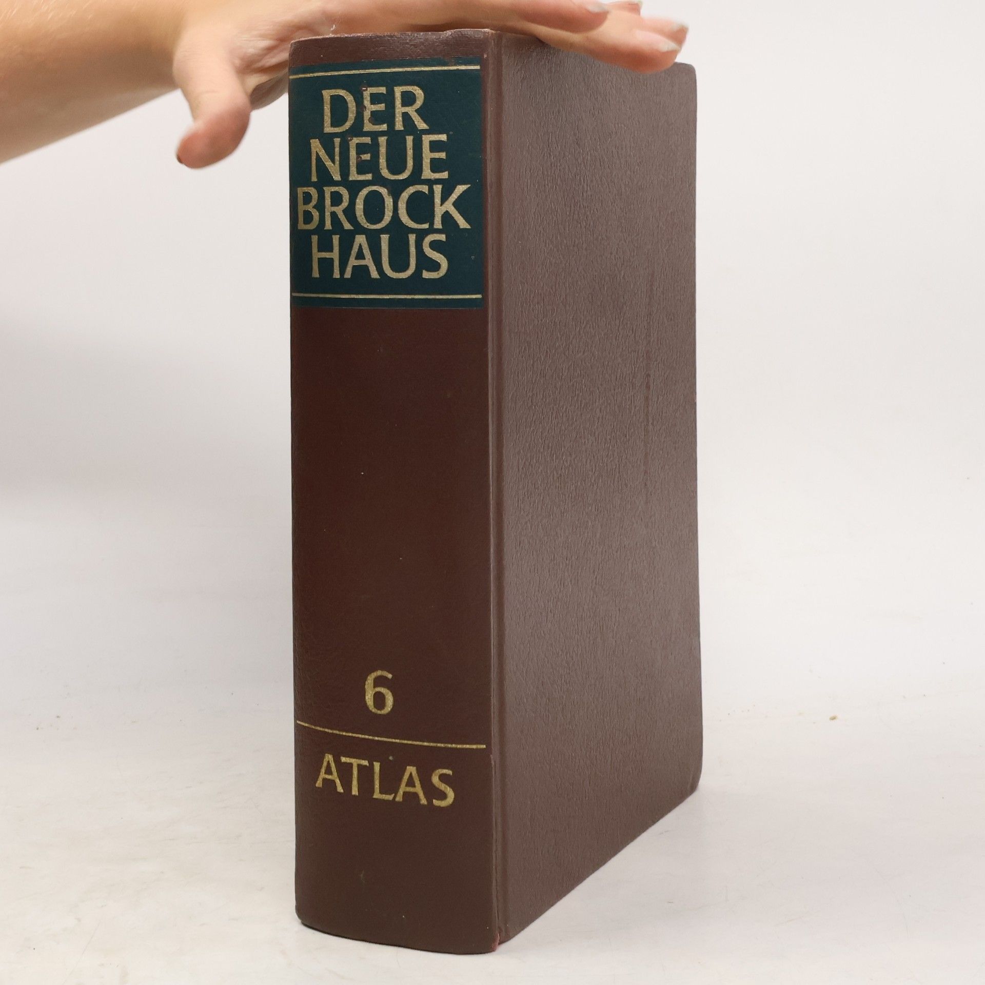 Kolektiv autorů Der neue Brockhaus 6. Atlas