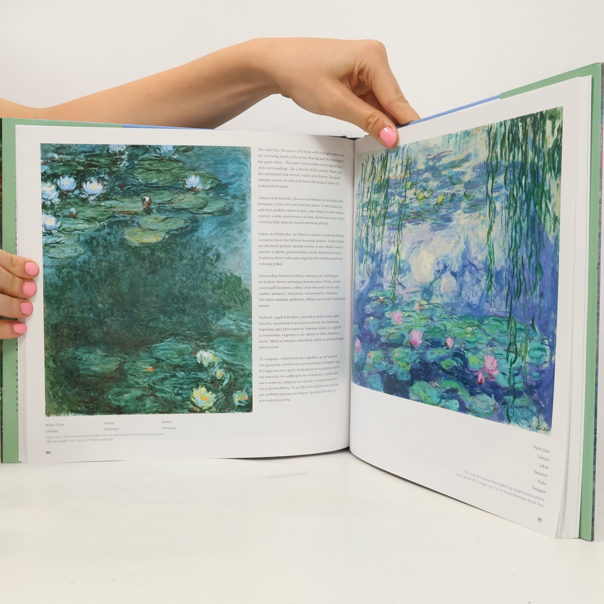 Marina Linares Lekníny - Claude Monet