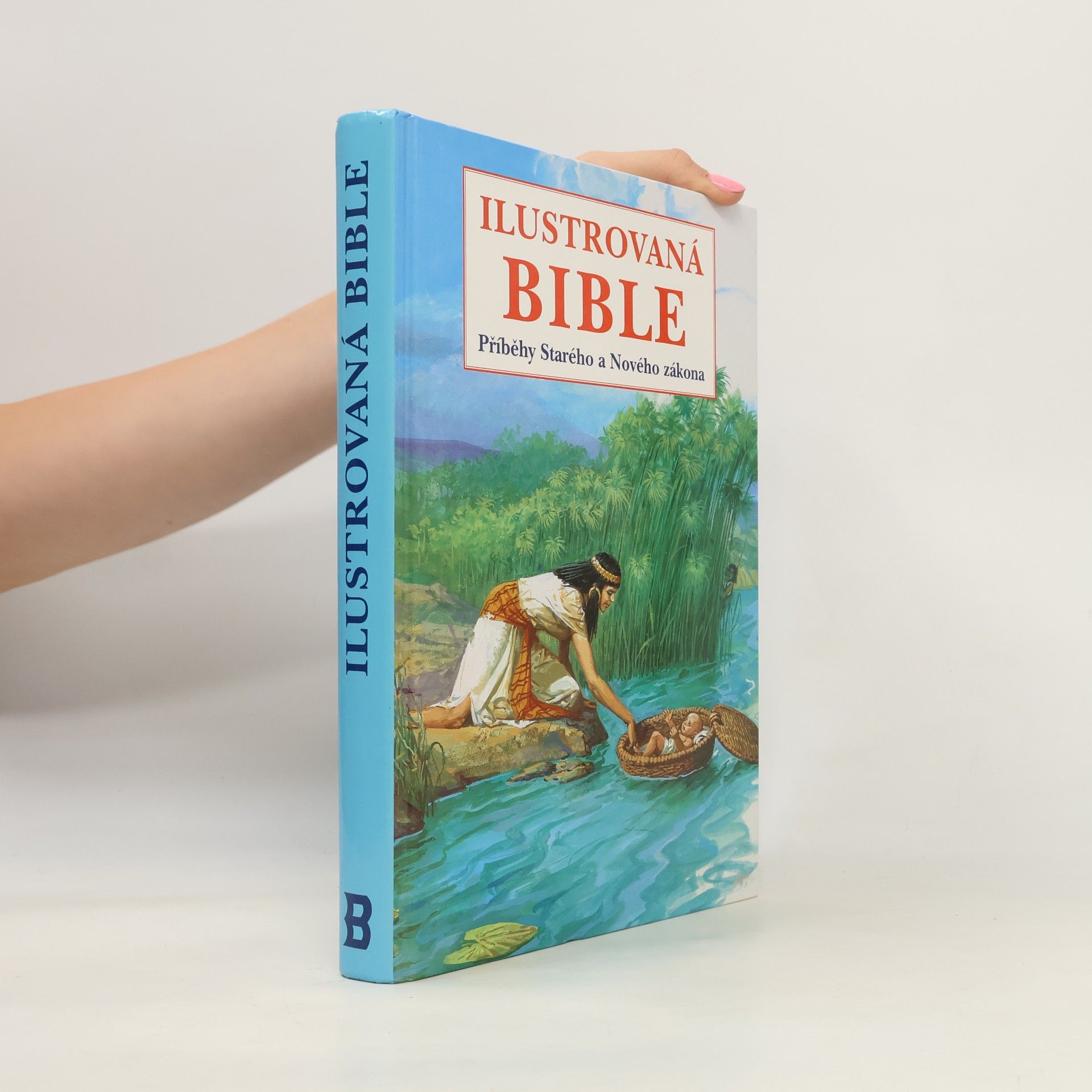Ilustrovaná bible Příběhy Starého a Nového zákona