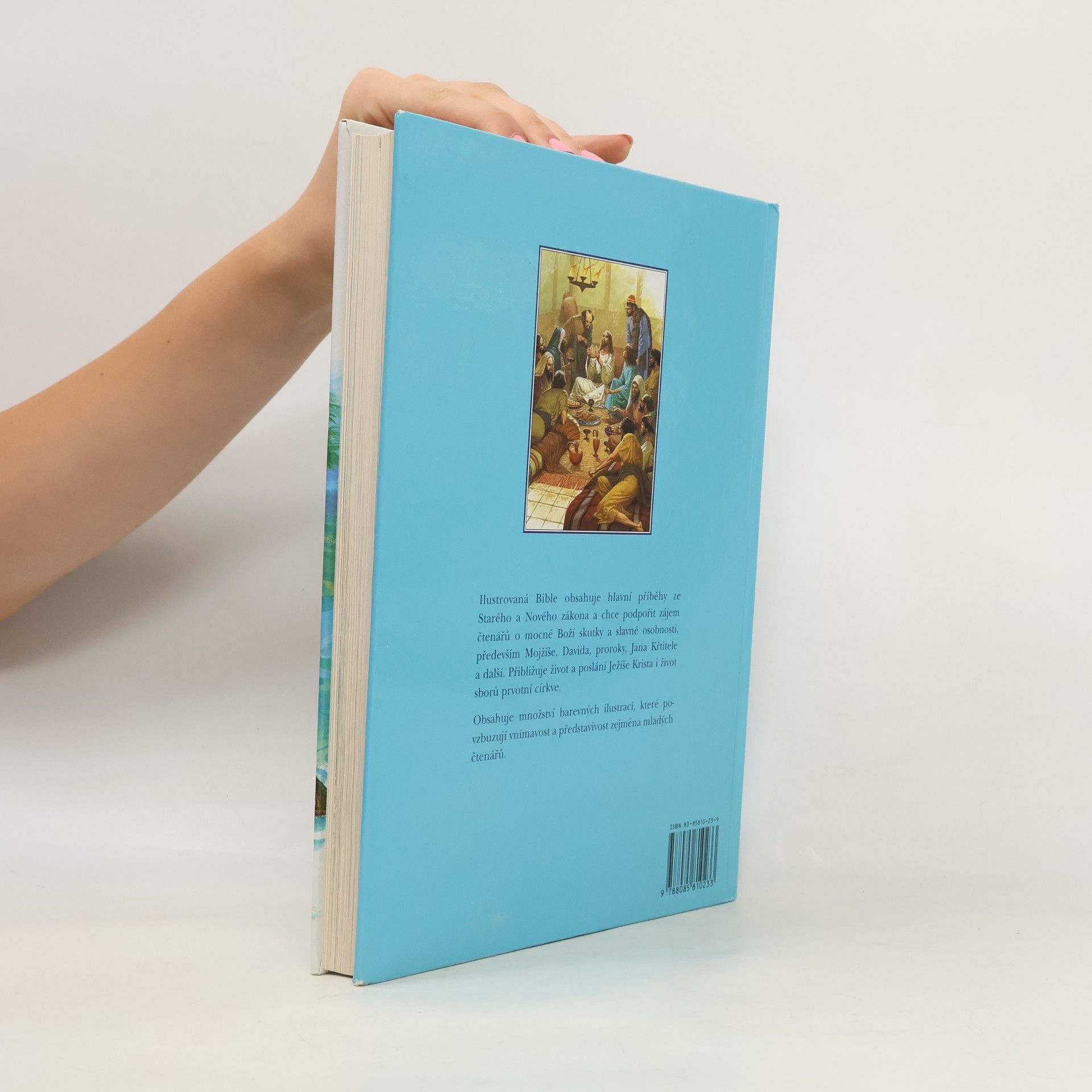Ladislav Žilka Ilustrovaná bible Příběhy Starého a Nového zákona