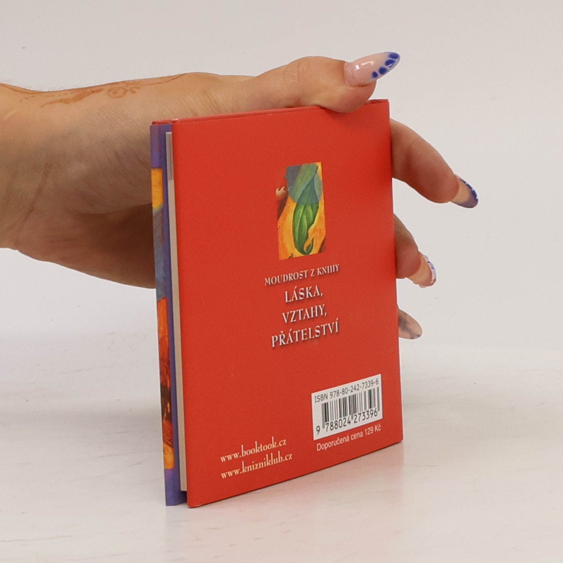Don Miguel Ruiz Moudrost z knihy Láska, vztahy, přátelství