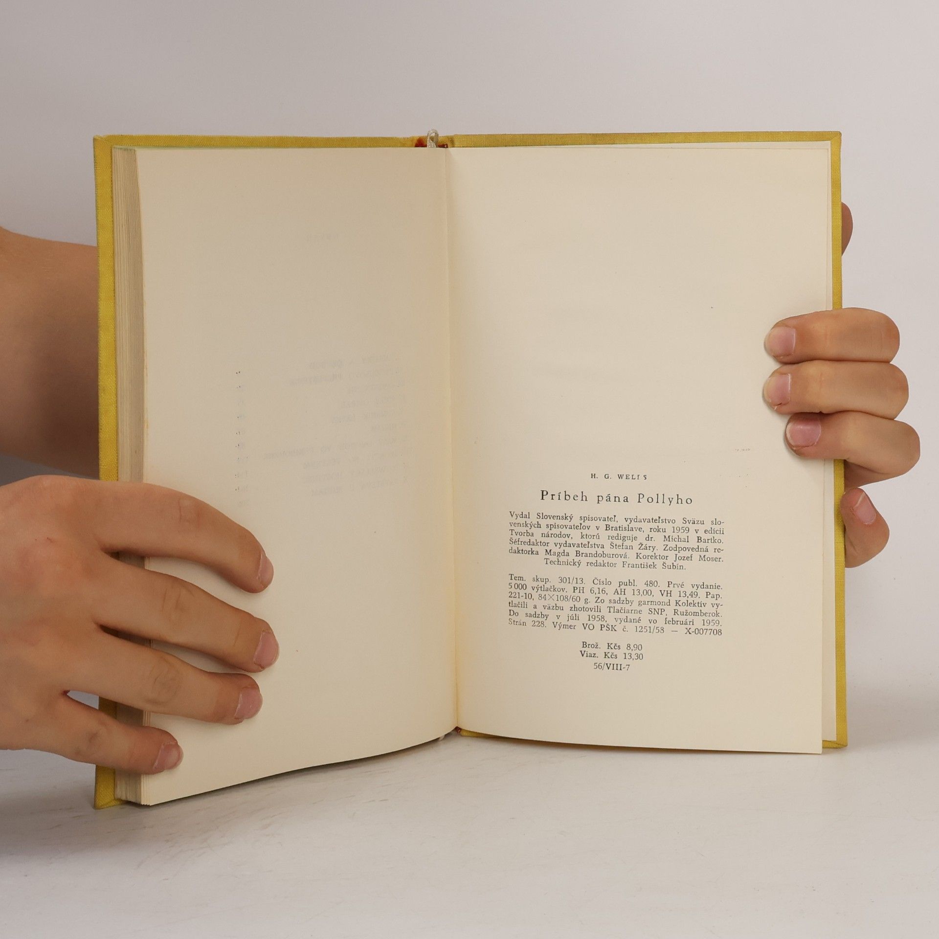 H. G. Wells Príbeh pána Pollyho