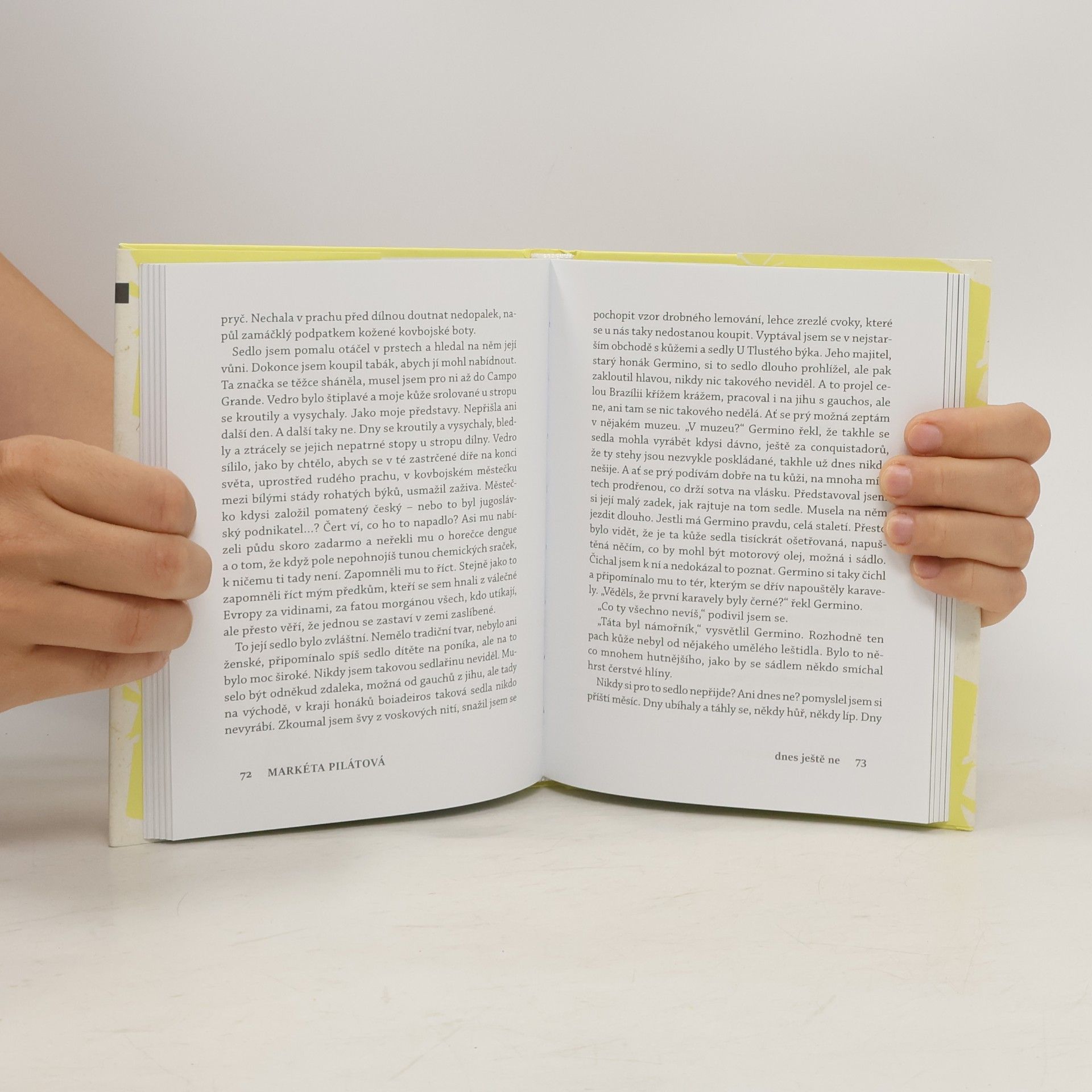 Autores varios Dnes ještě ne