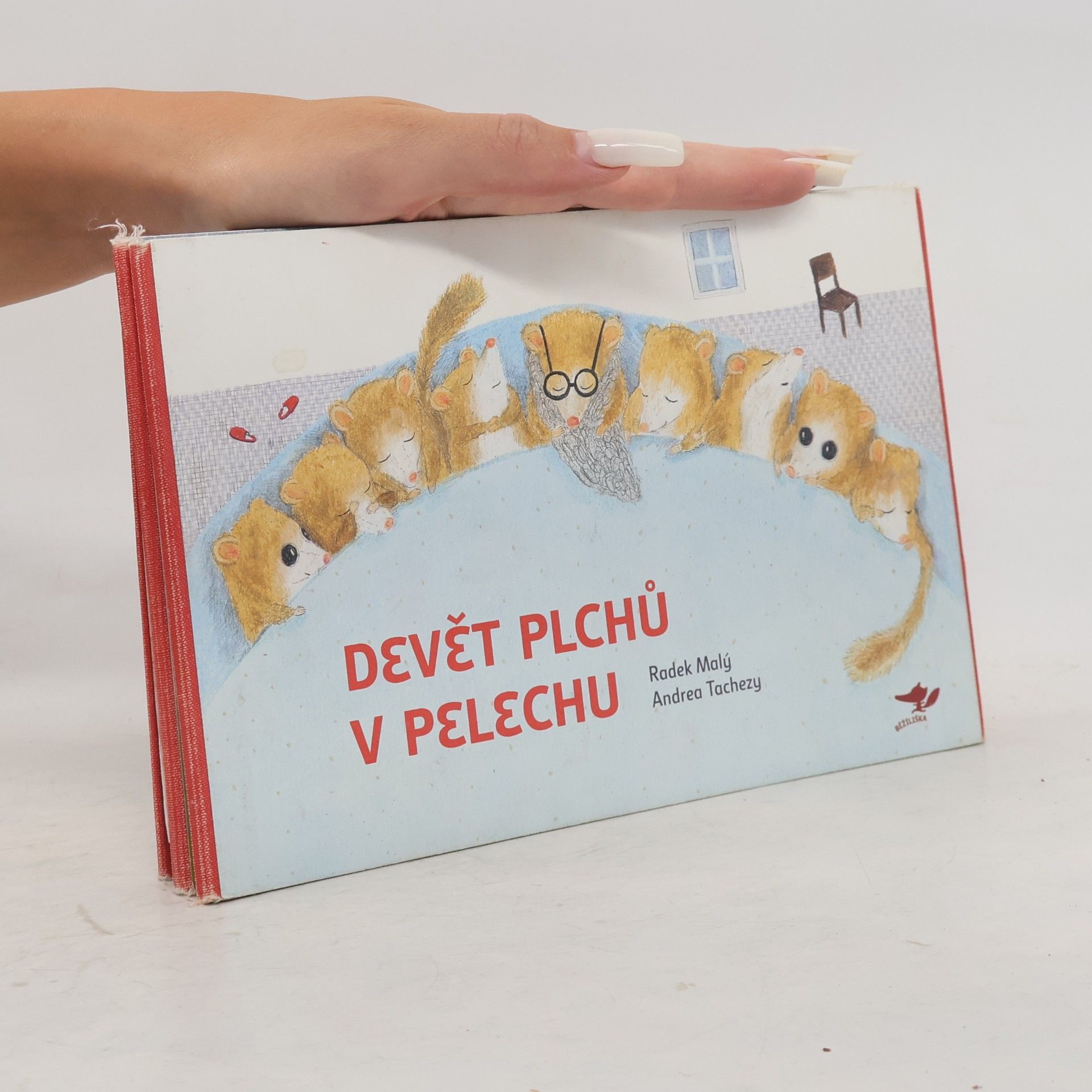 Radek Malý Devět plchů v pelechu