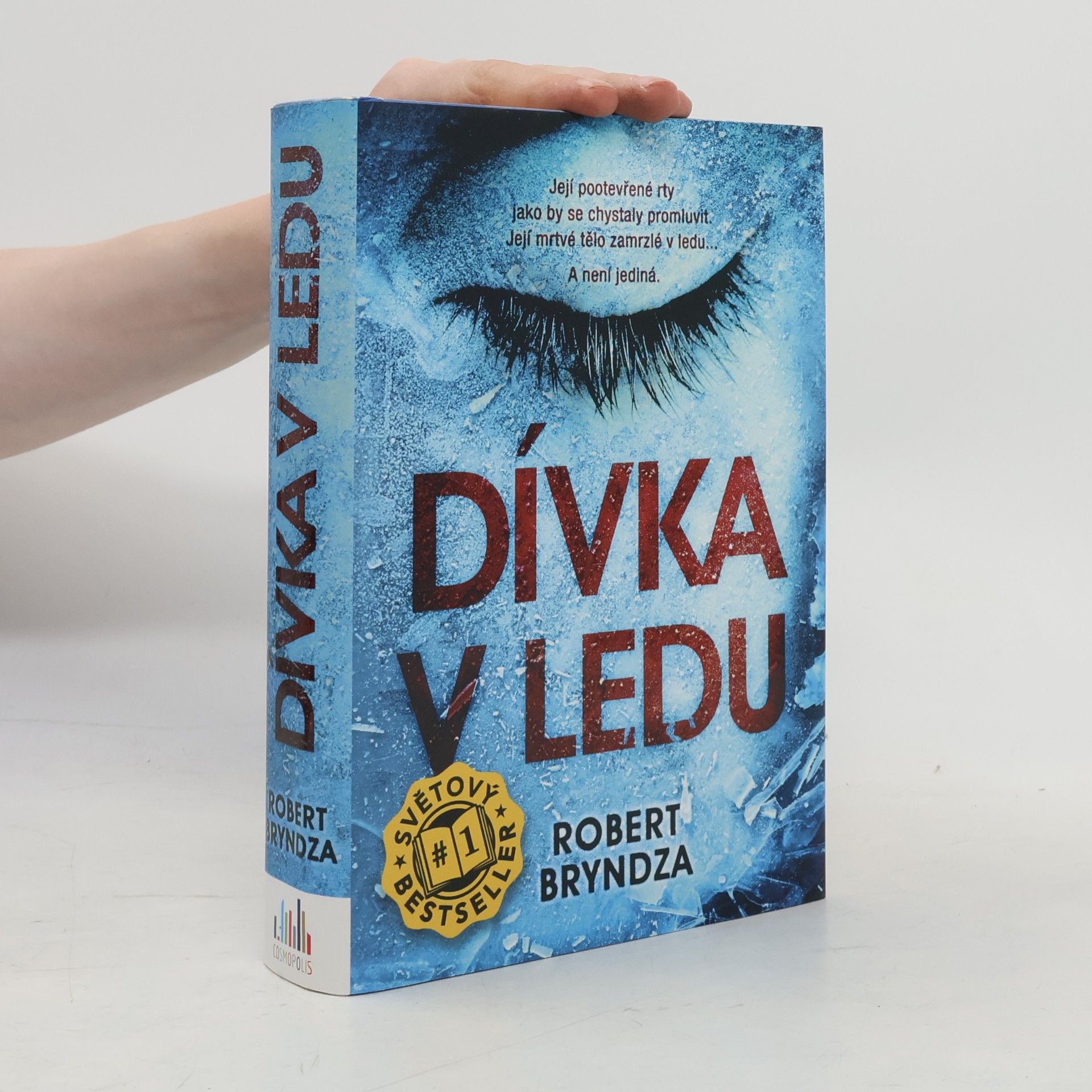 Robert Bryndza Dívka v ledu