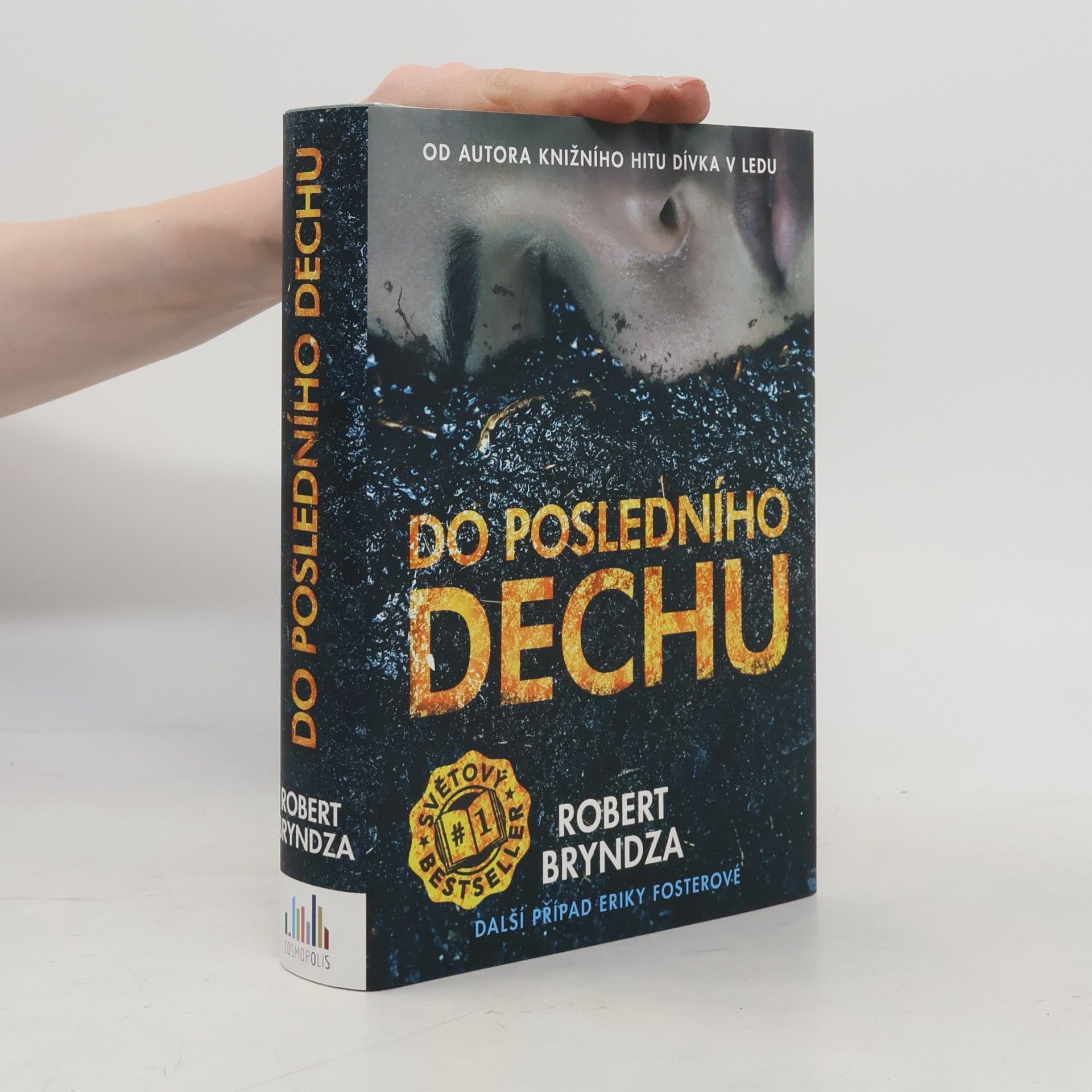 Robert Bryndza Do posledního dechu