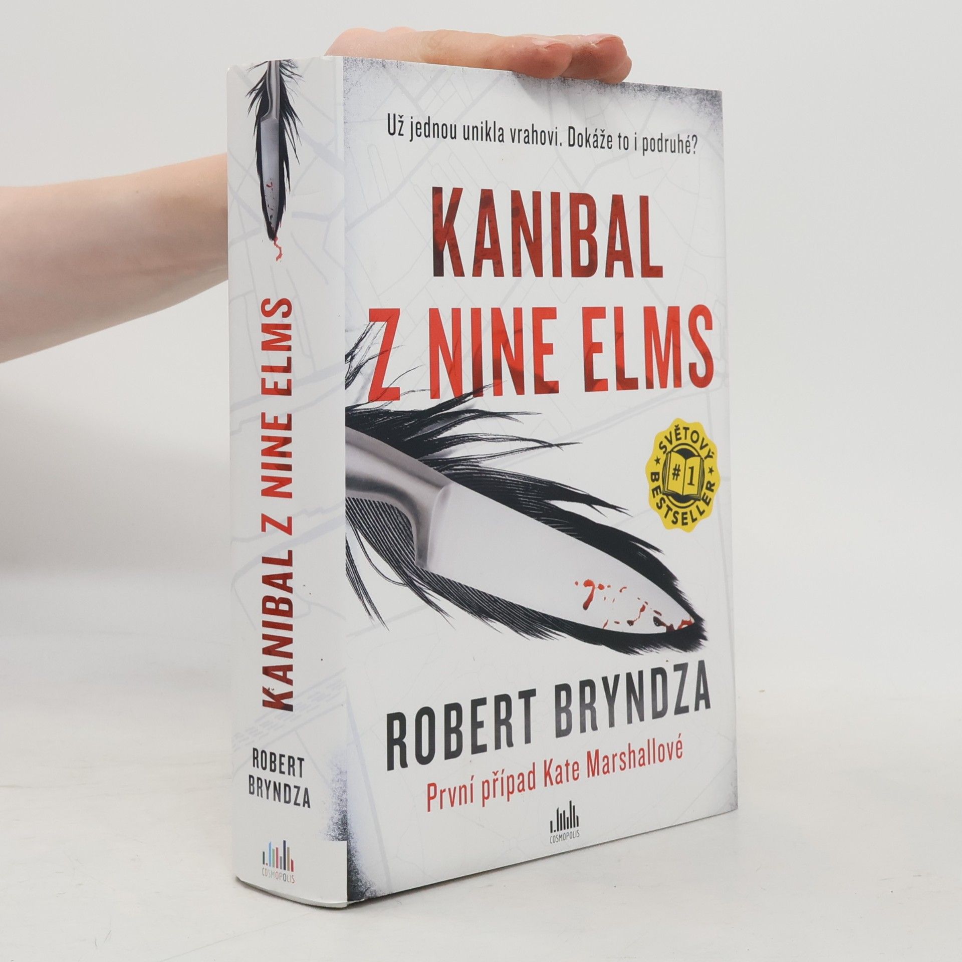 Robert Bryndza Kanibal z Nine Elms