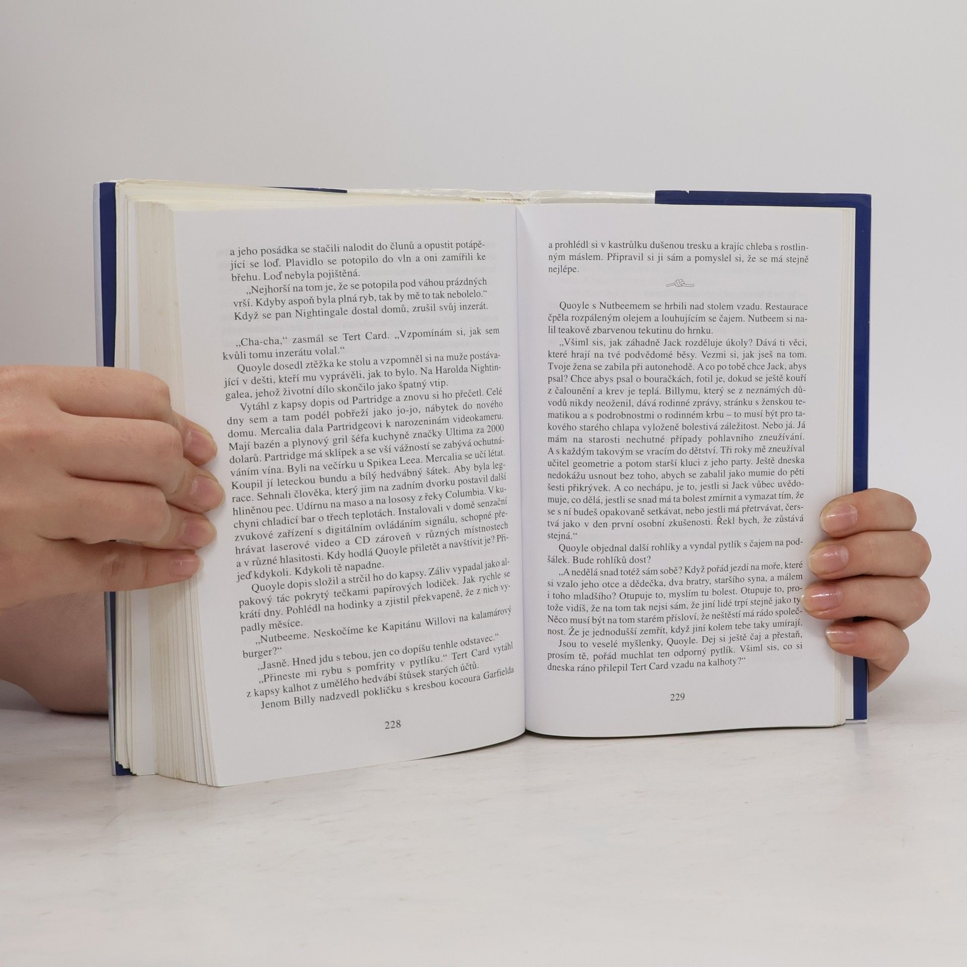 Annie Proulx Ostrovní zprávy