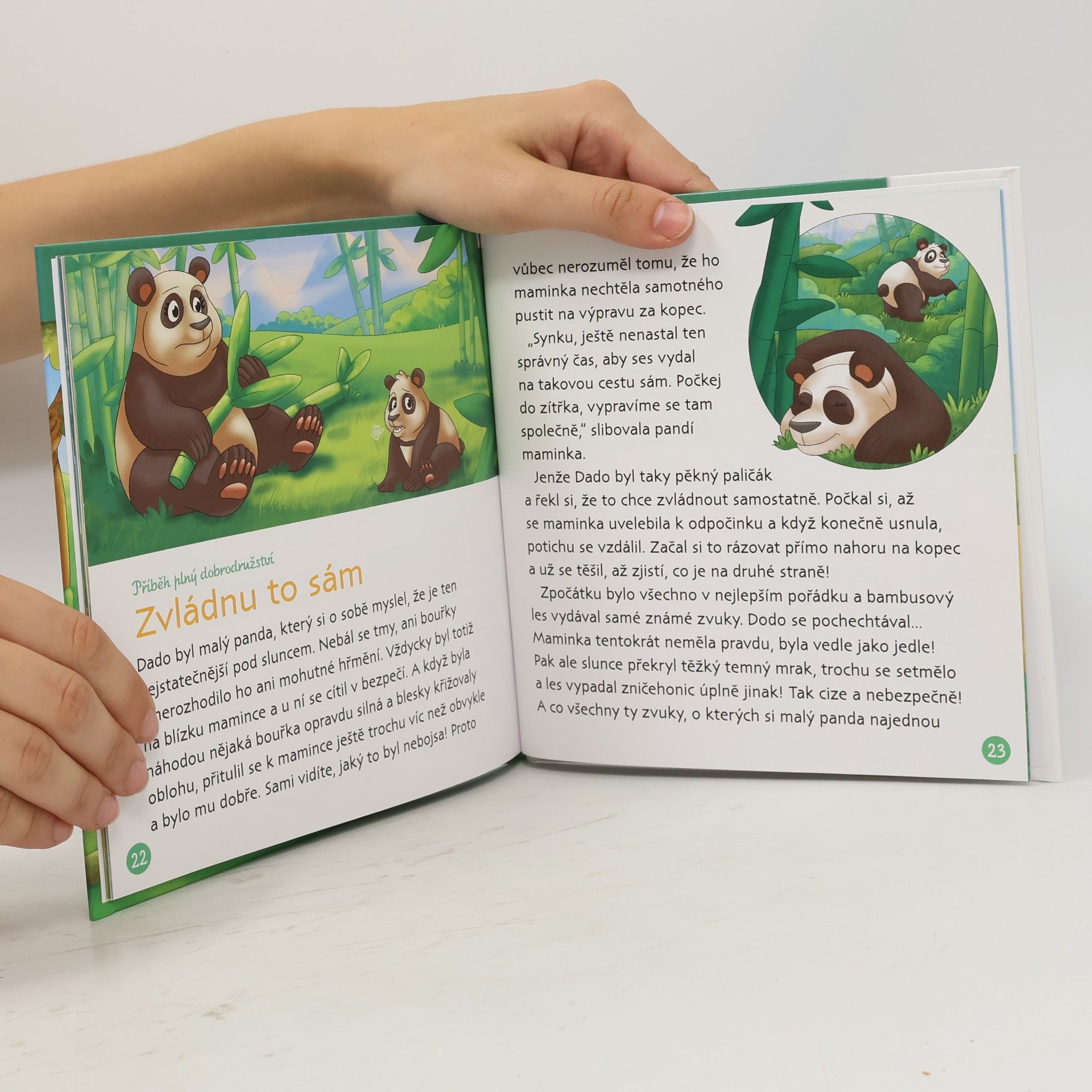 kolektiv Bydlím v lese 50. Kojot