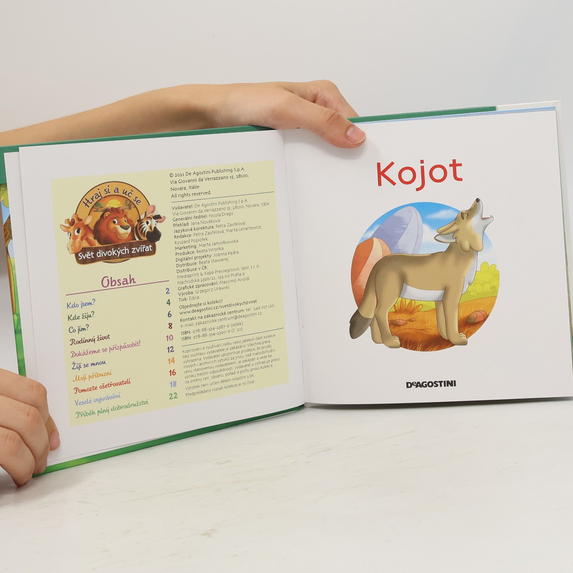 kolektiv Bydlím v lese 50. Kojot