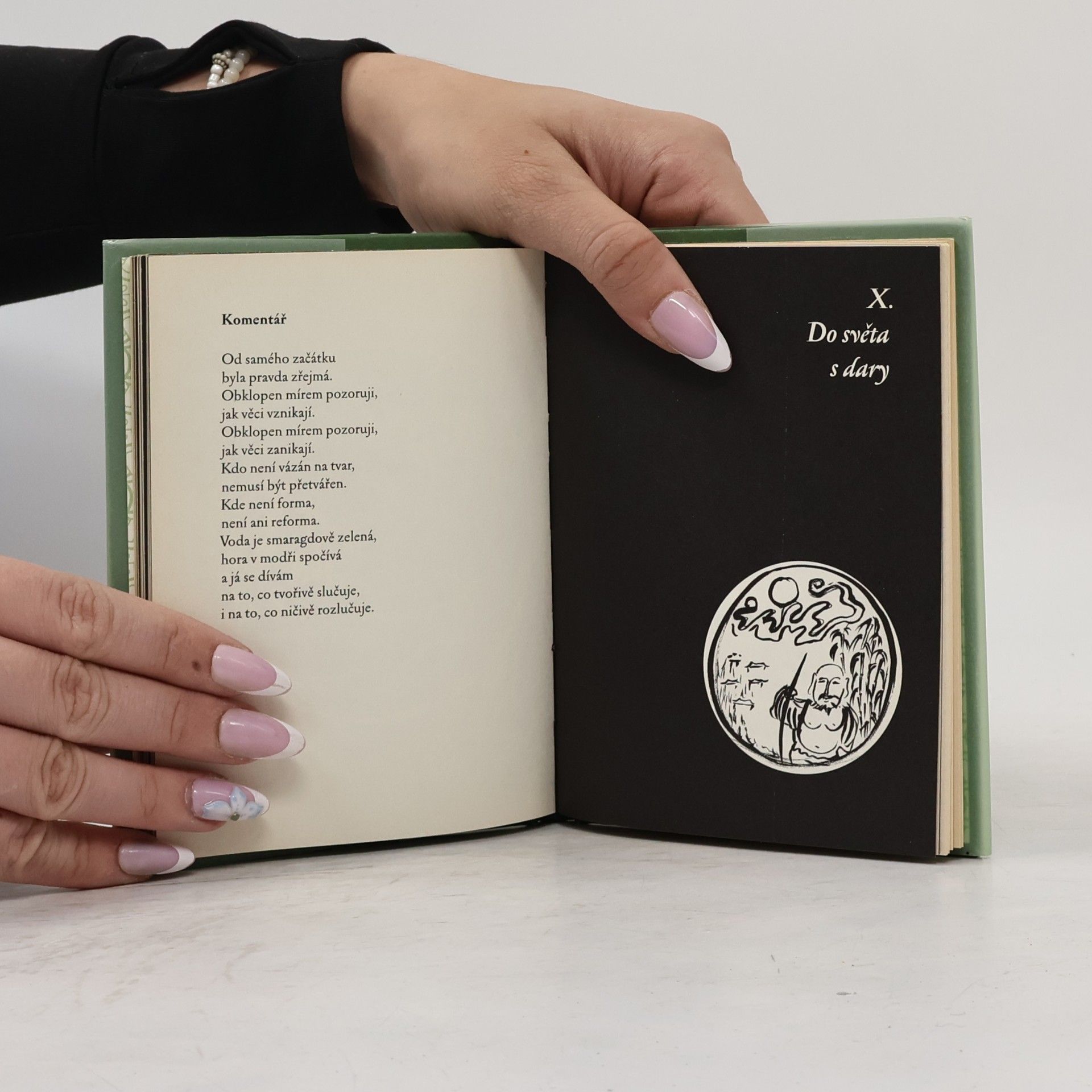 Autorenkollektiv Deset obrazů krocení býka