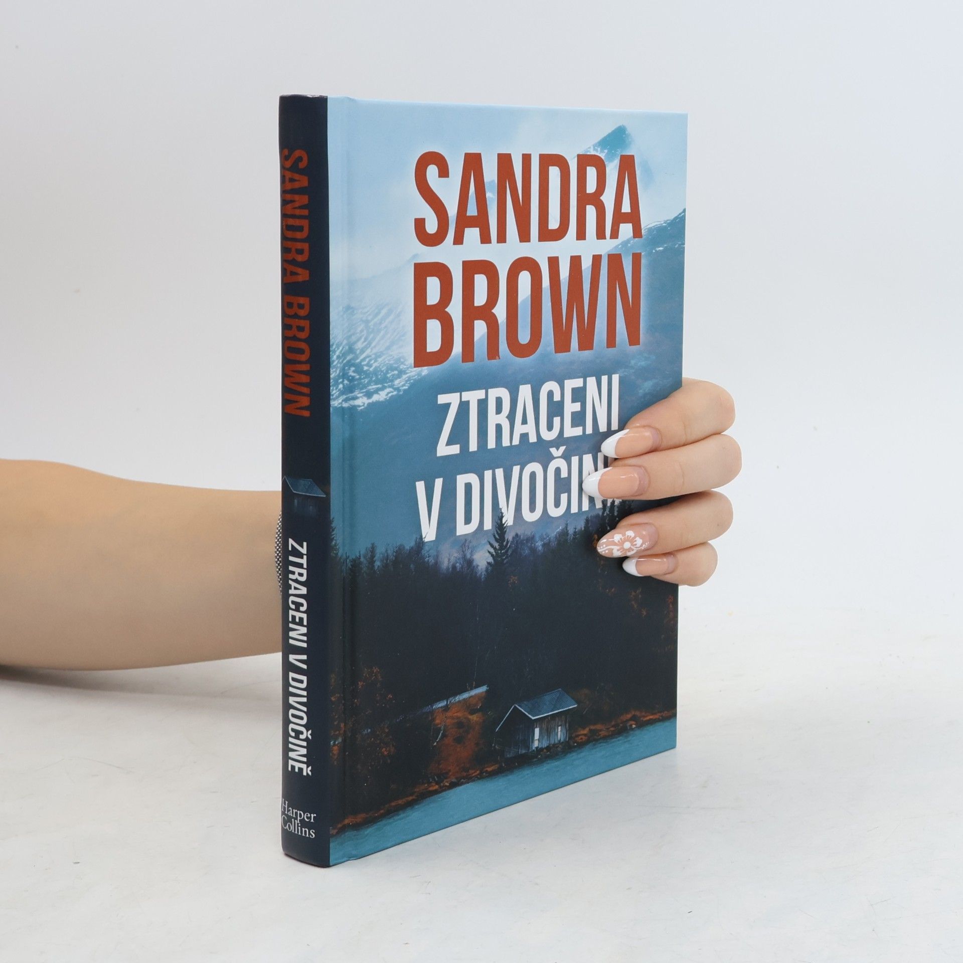 Sandra Brown Ztraceni v divočině