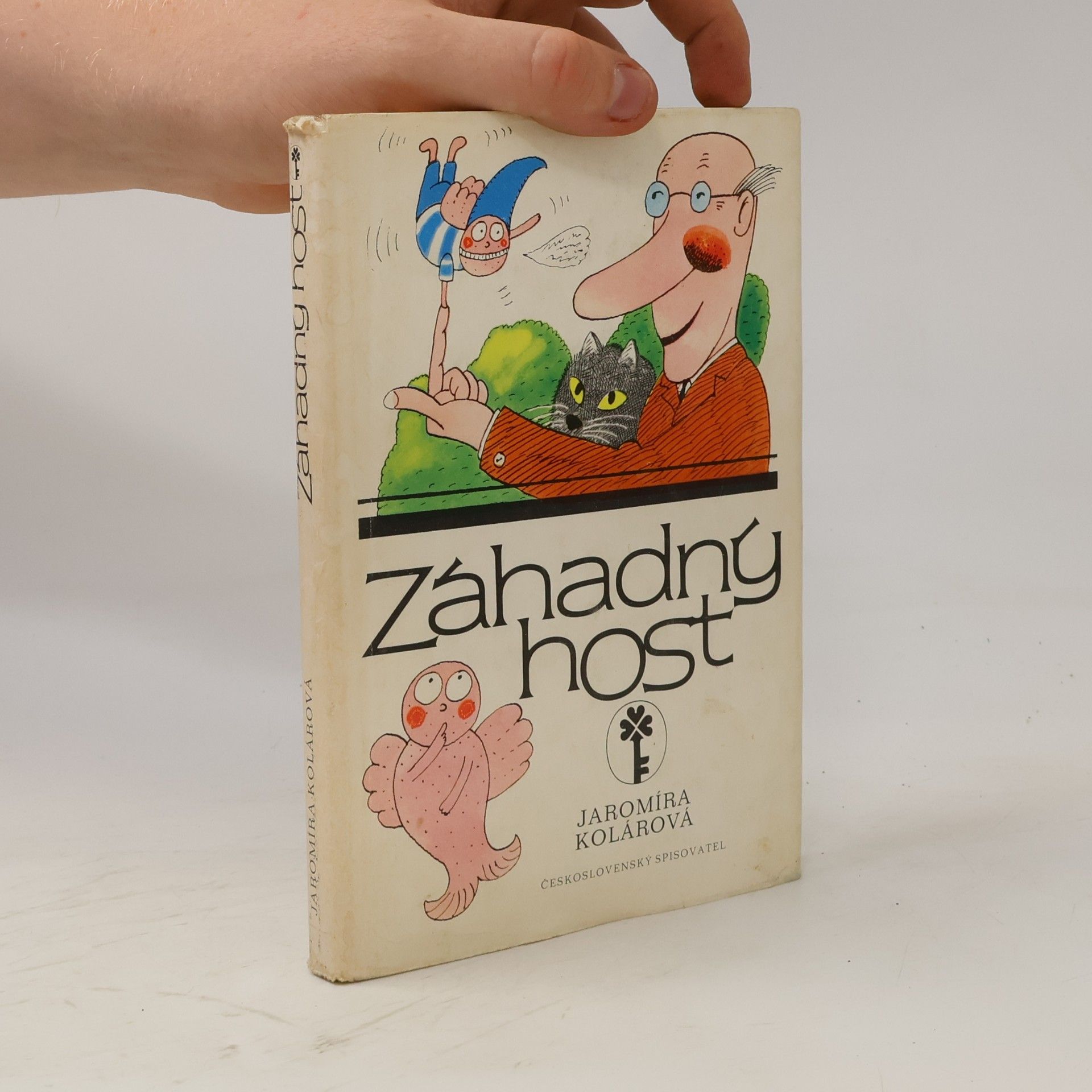 Záhadný host