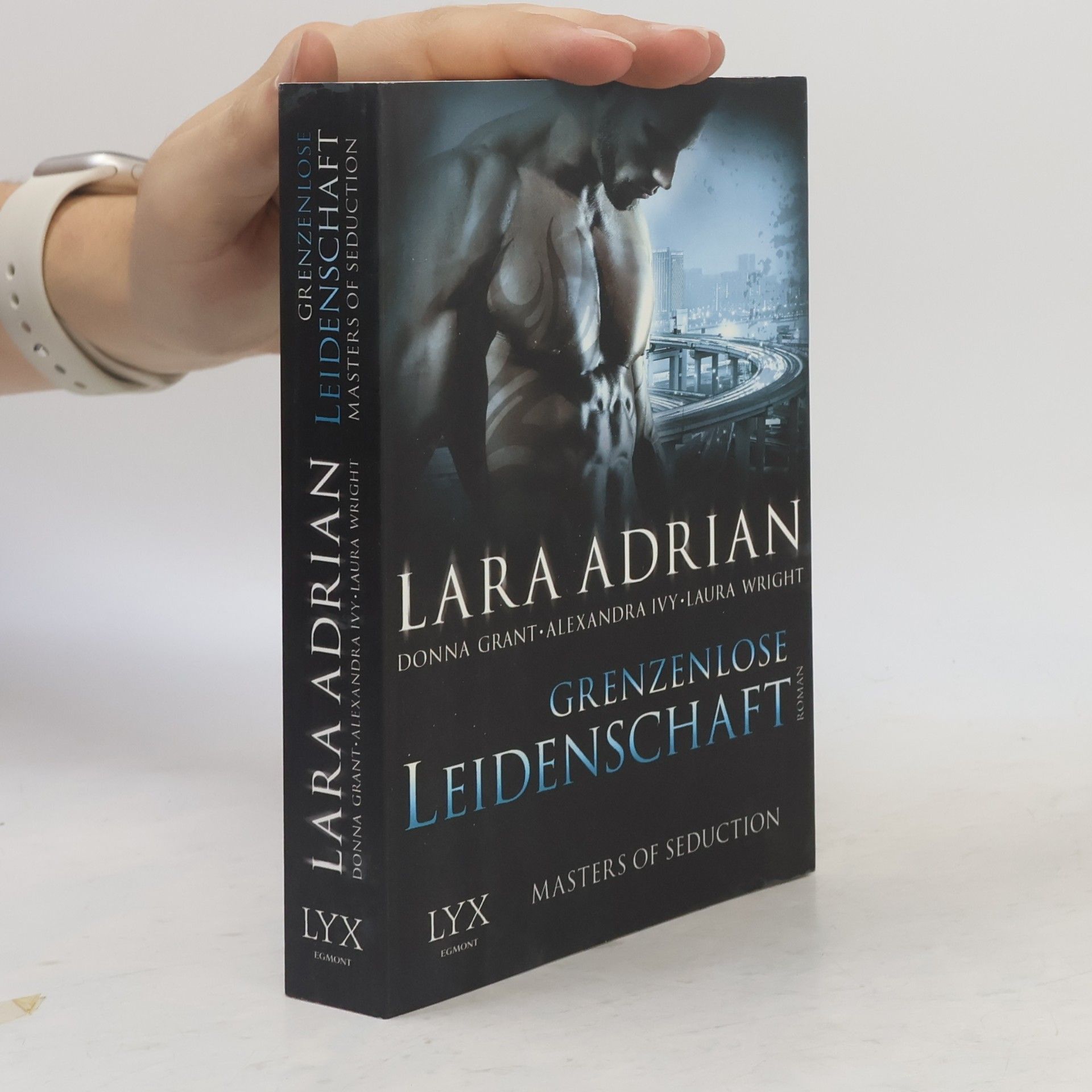 Alexandra Ivy Grenzenlose Leidenschaft