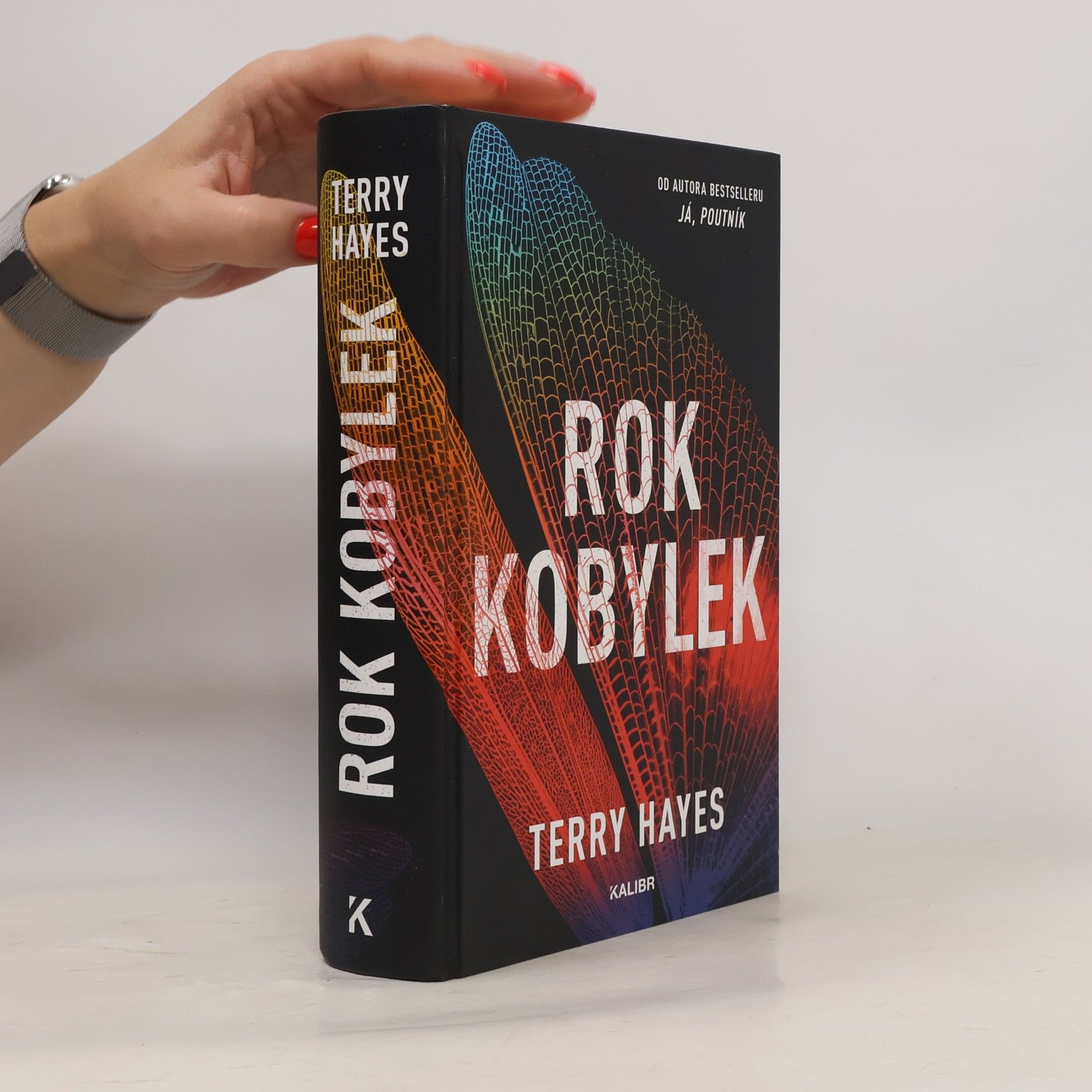 Terry Hayes Rok kobylek