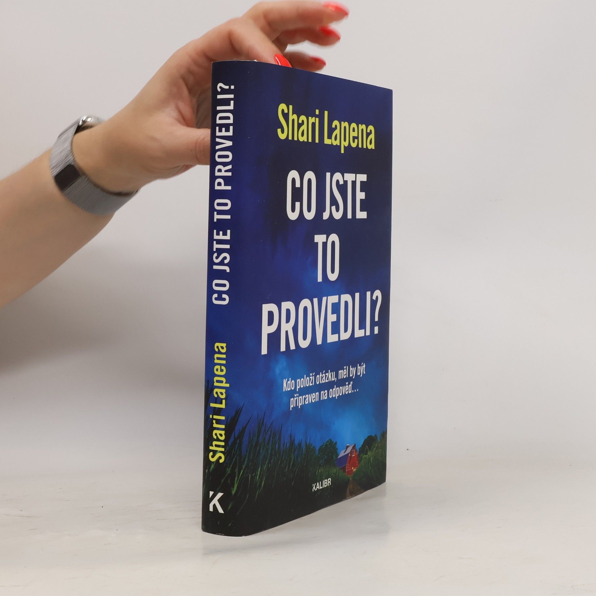 Shari Lapena Co jste to provedli?