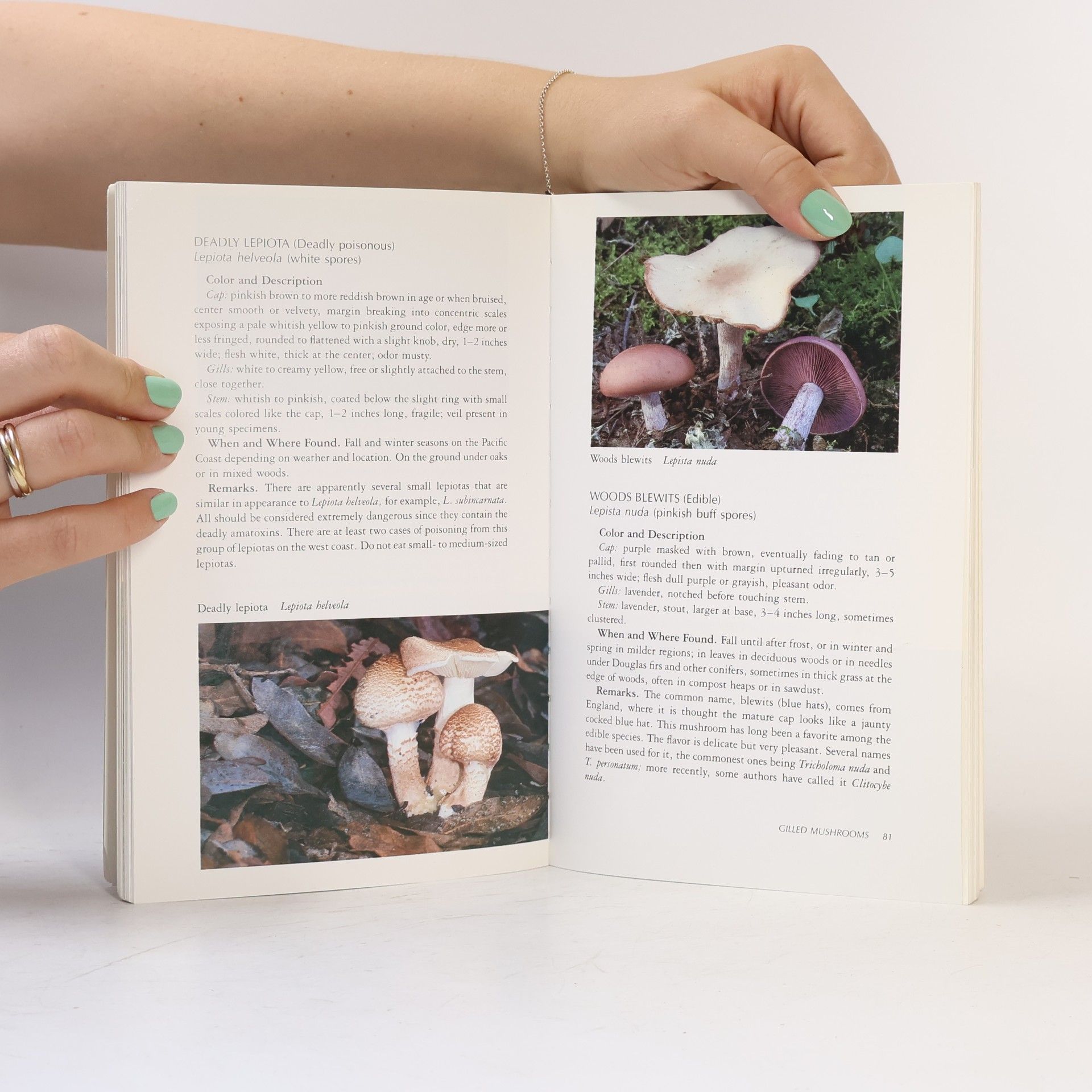Margaret McKenny The New Savory Wild Mushroom: Revised and Enlarged by Joseph F. Ammirati