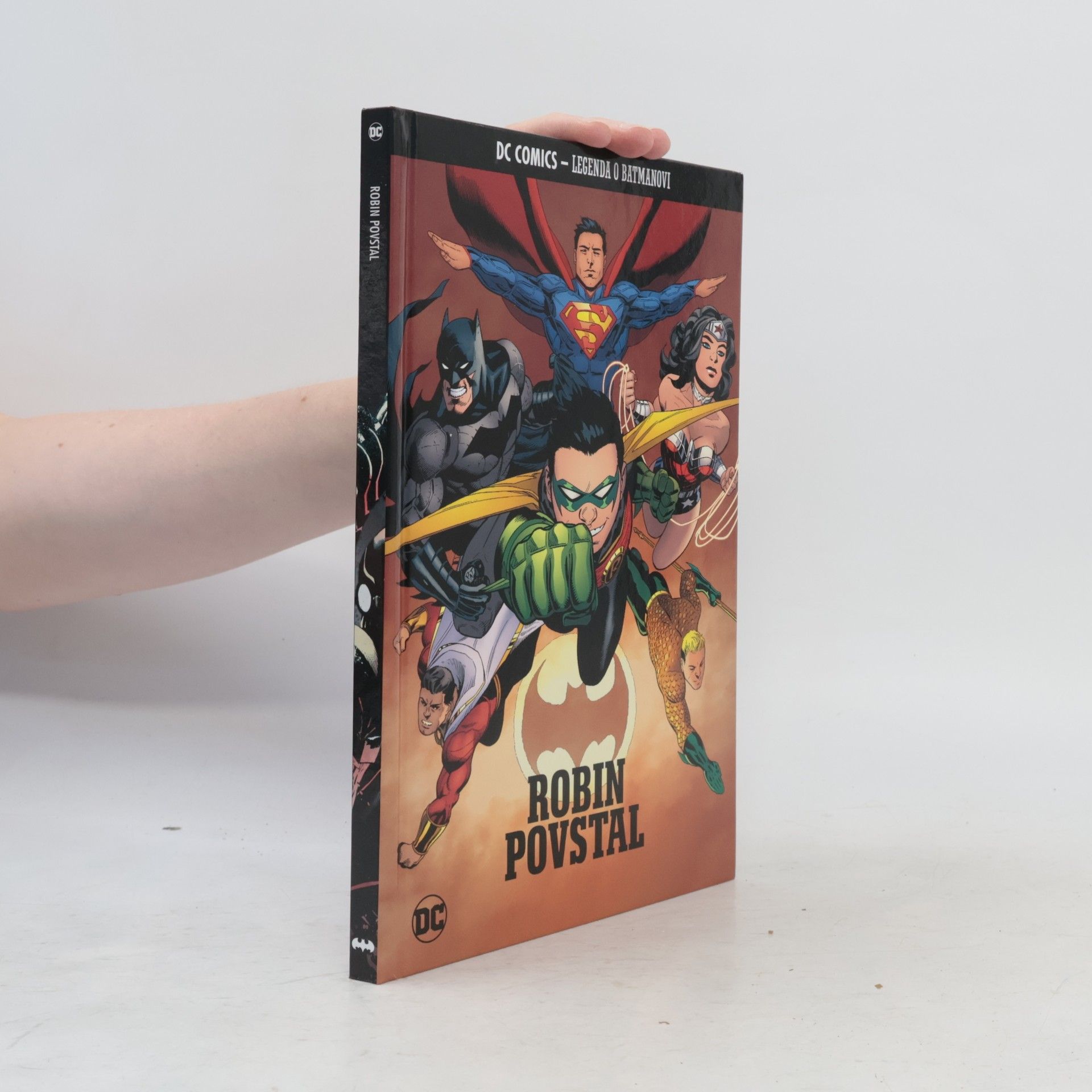 Kolektiv autorů Robin povstal