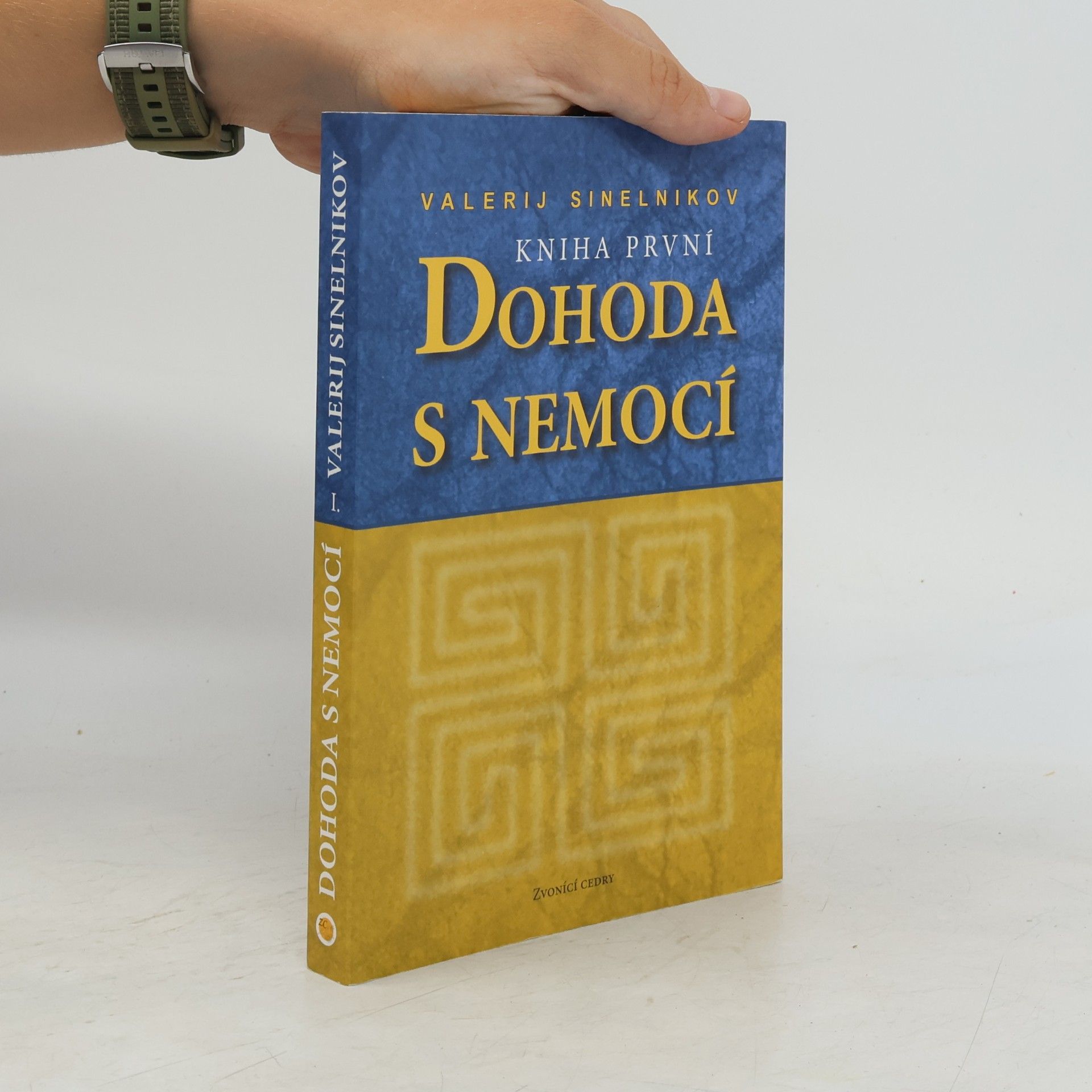Valerij Vladimirovič Sinel‘nikov Dohoda s nemocí. Kniha první