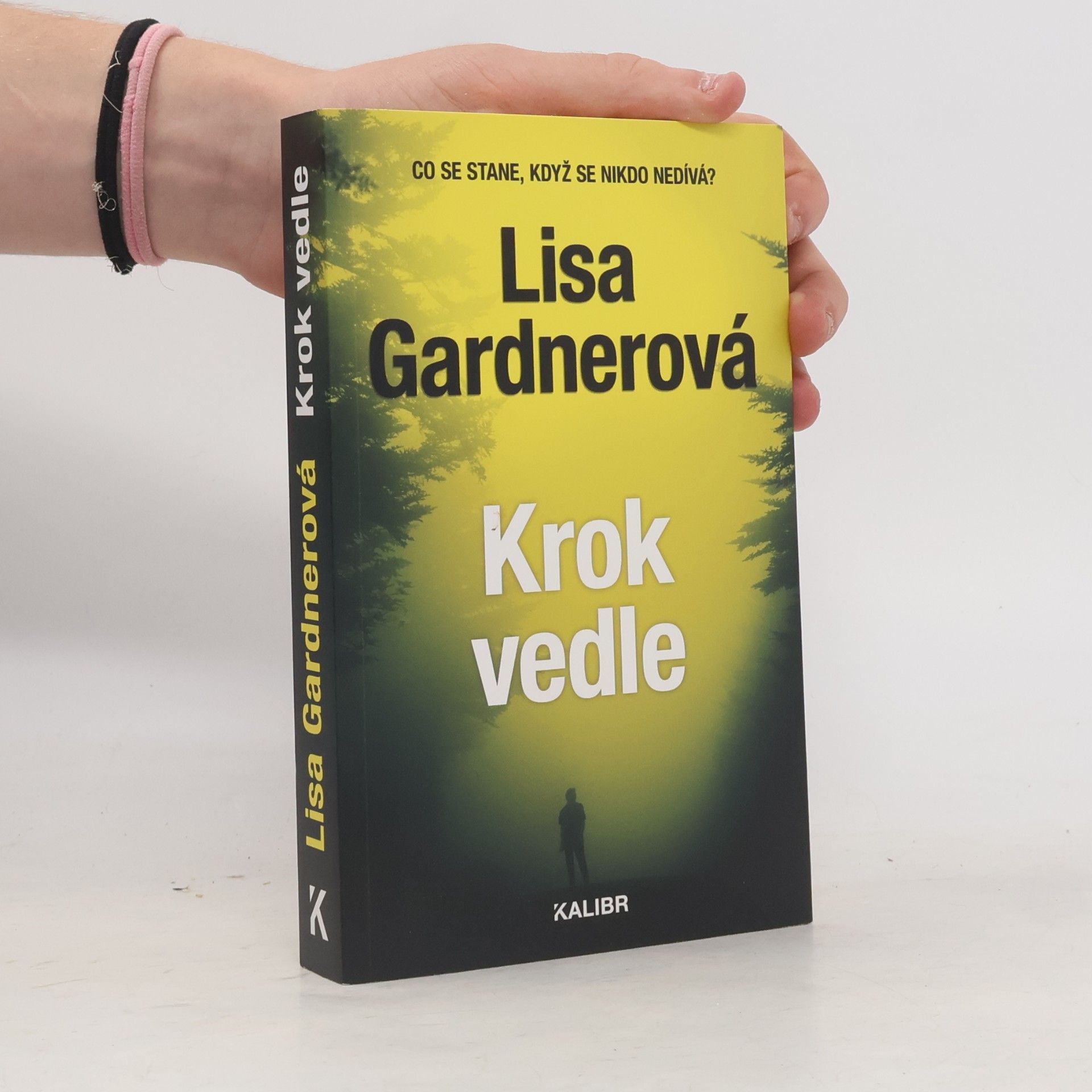 Lisa Gardner Krok vedle
