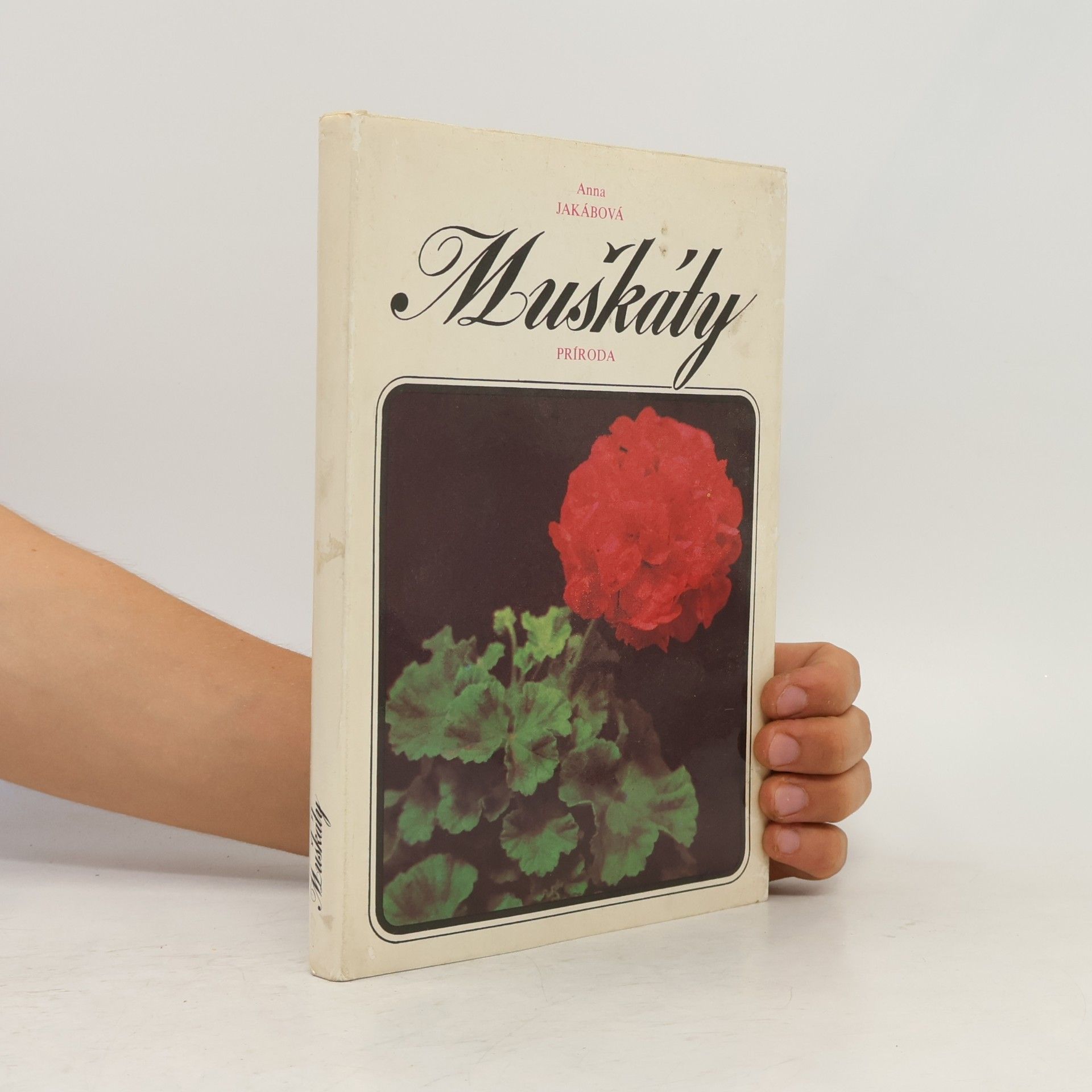 Muškáty