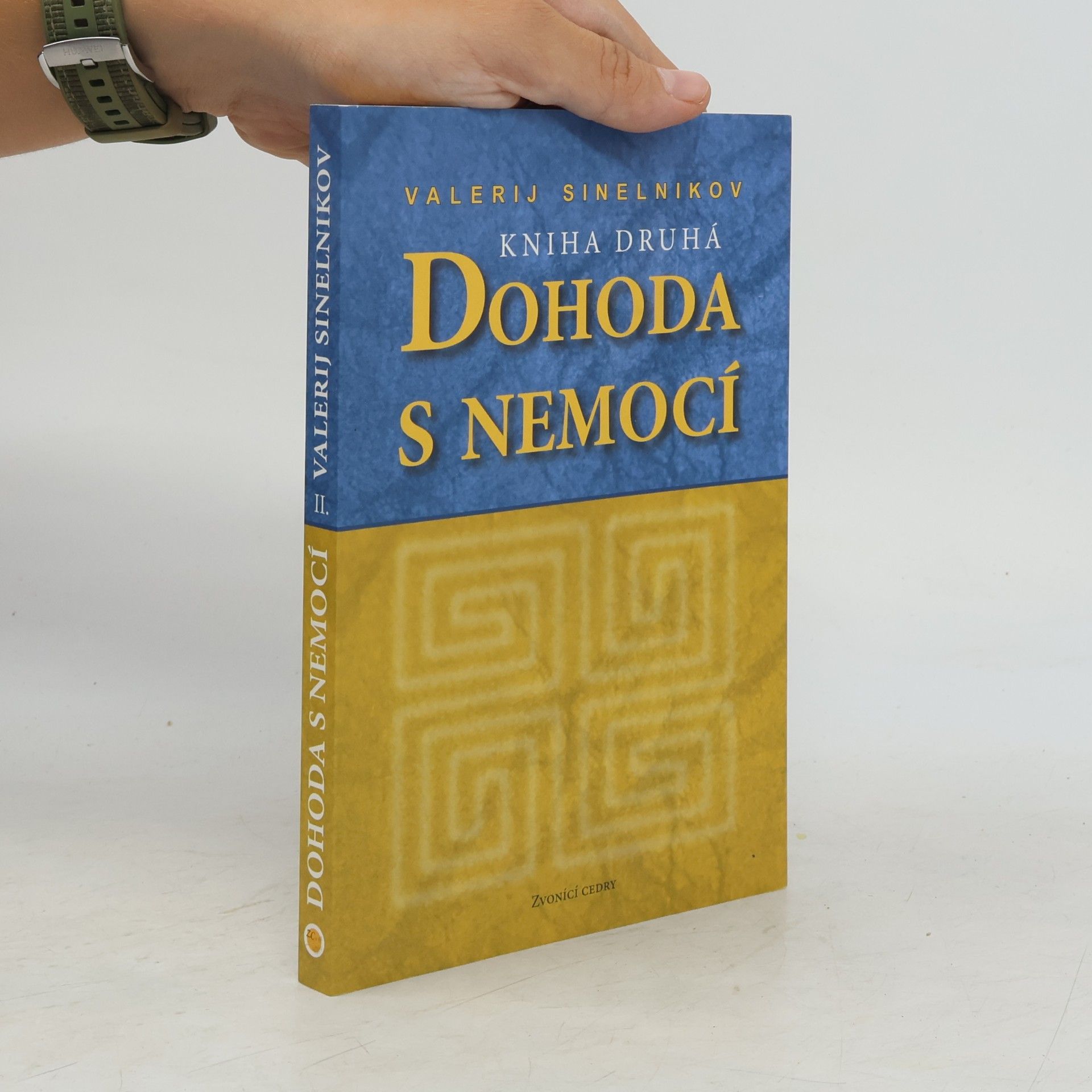 Valerij Vladimirovič Sinelnikov Dohoda s nemocí. Kniha druhá