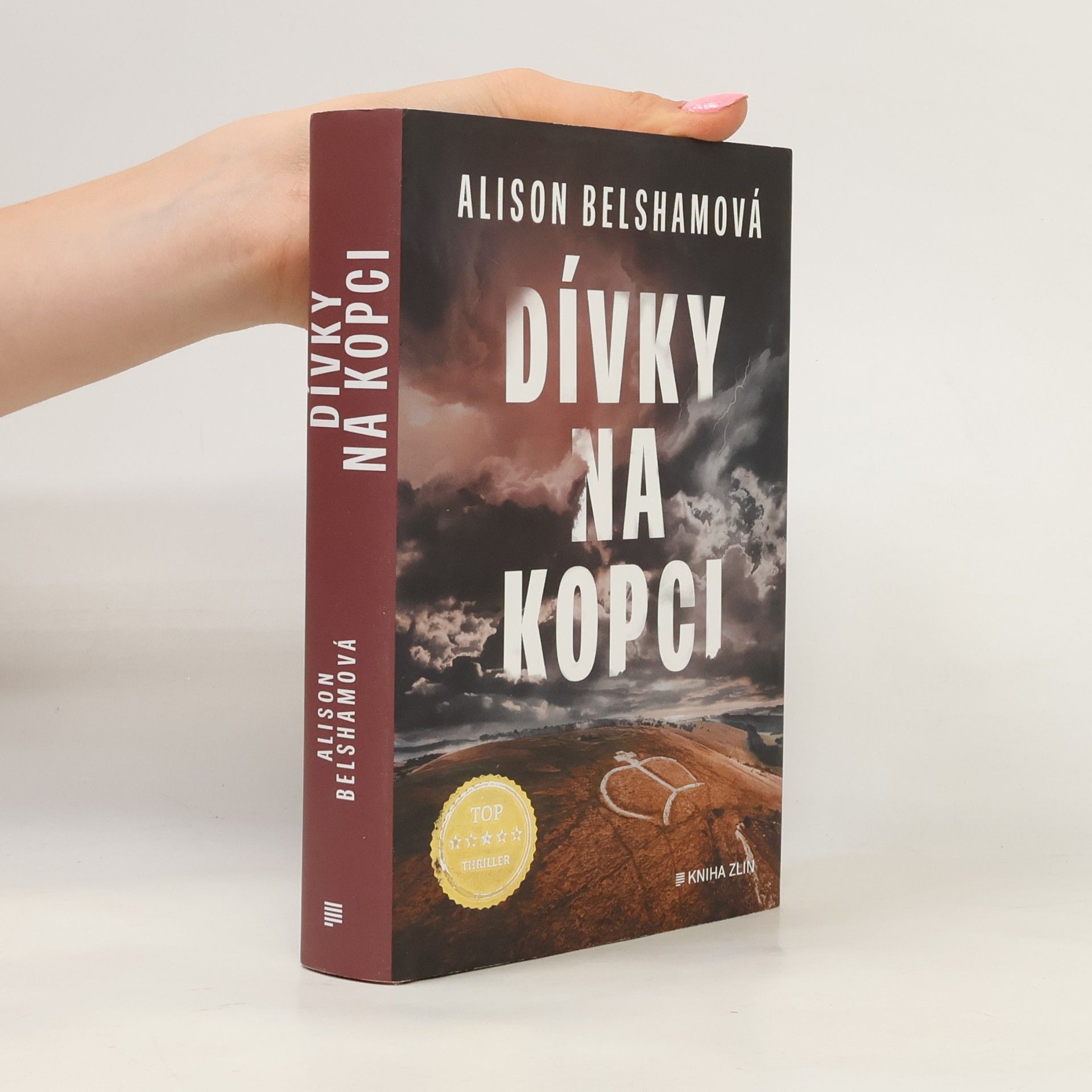 Alison Belsham Dívky na kopci