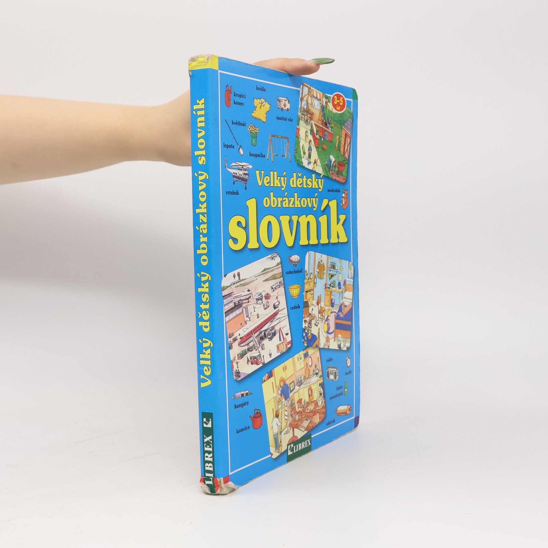 Autorenkollektiv Velký dětský obrázkový slovník. 3-5 let