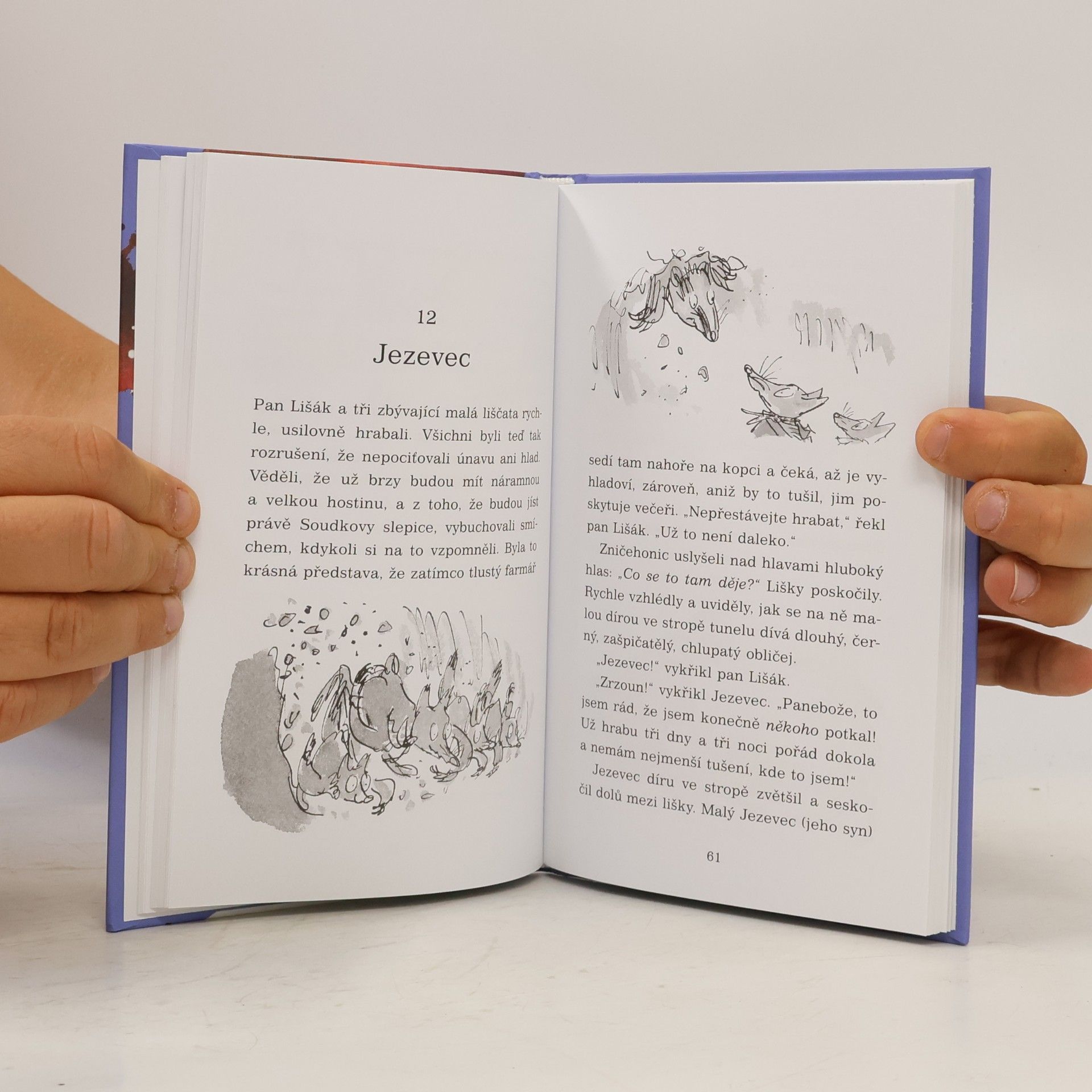 Roald Dahl Fantastický pan Lišák