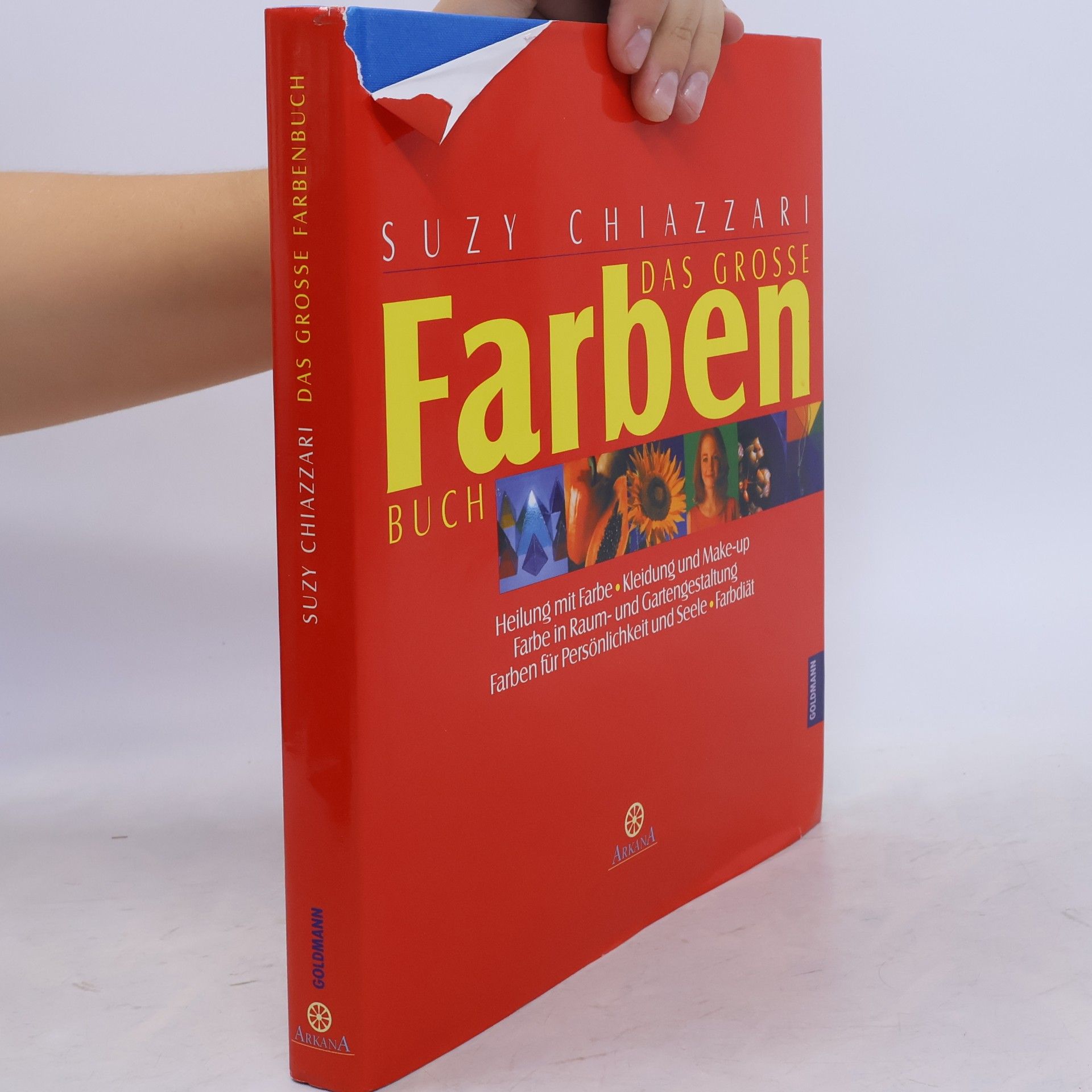 Das große Farbenbuch